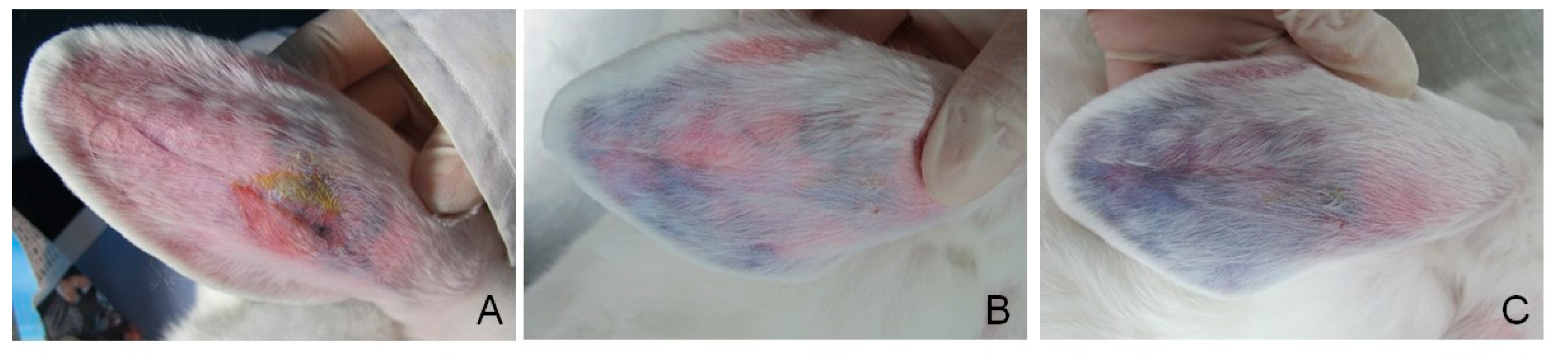 Polymers 13 03701 g008