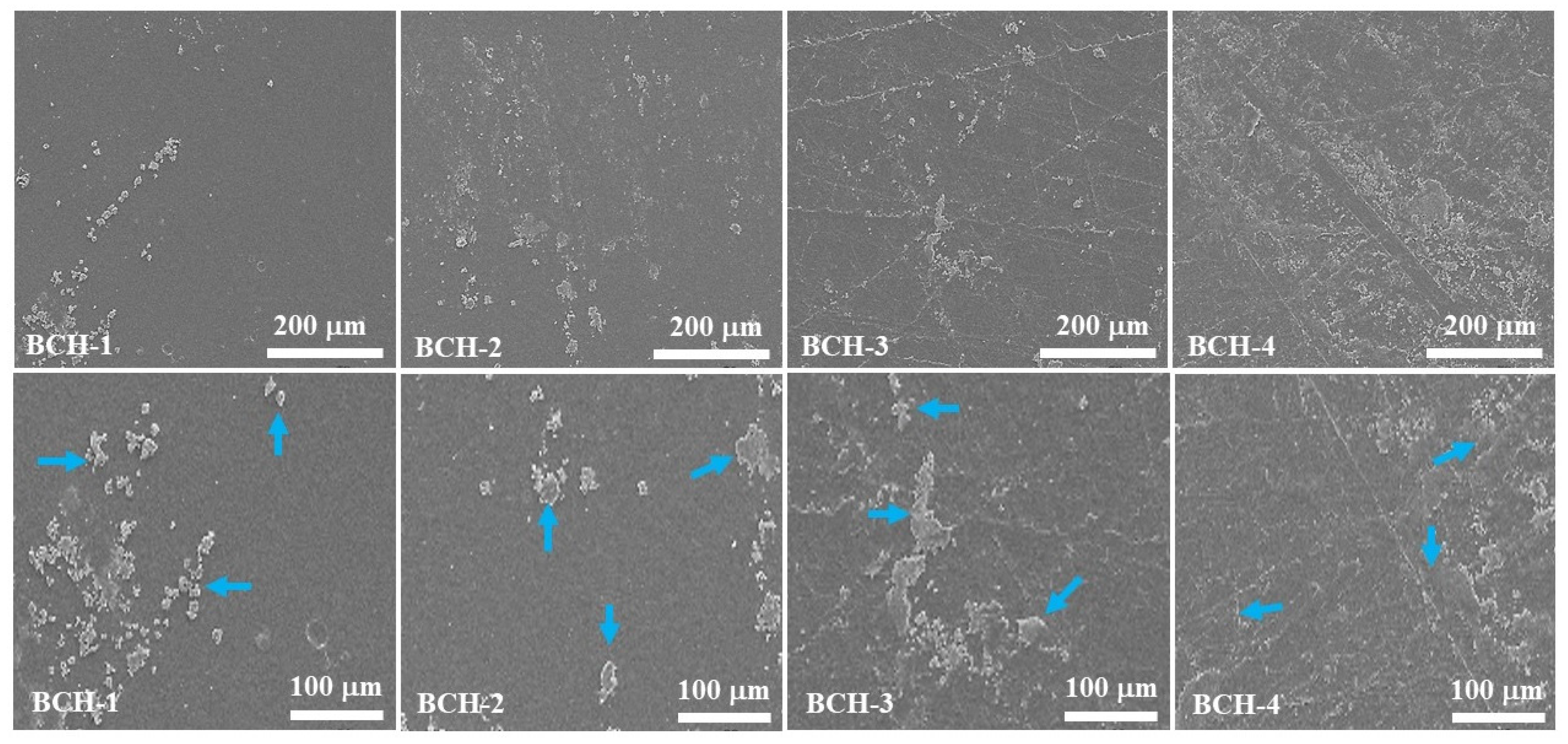 Polymers 13 03703 g003