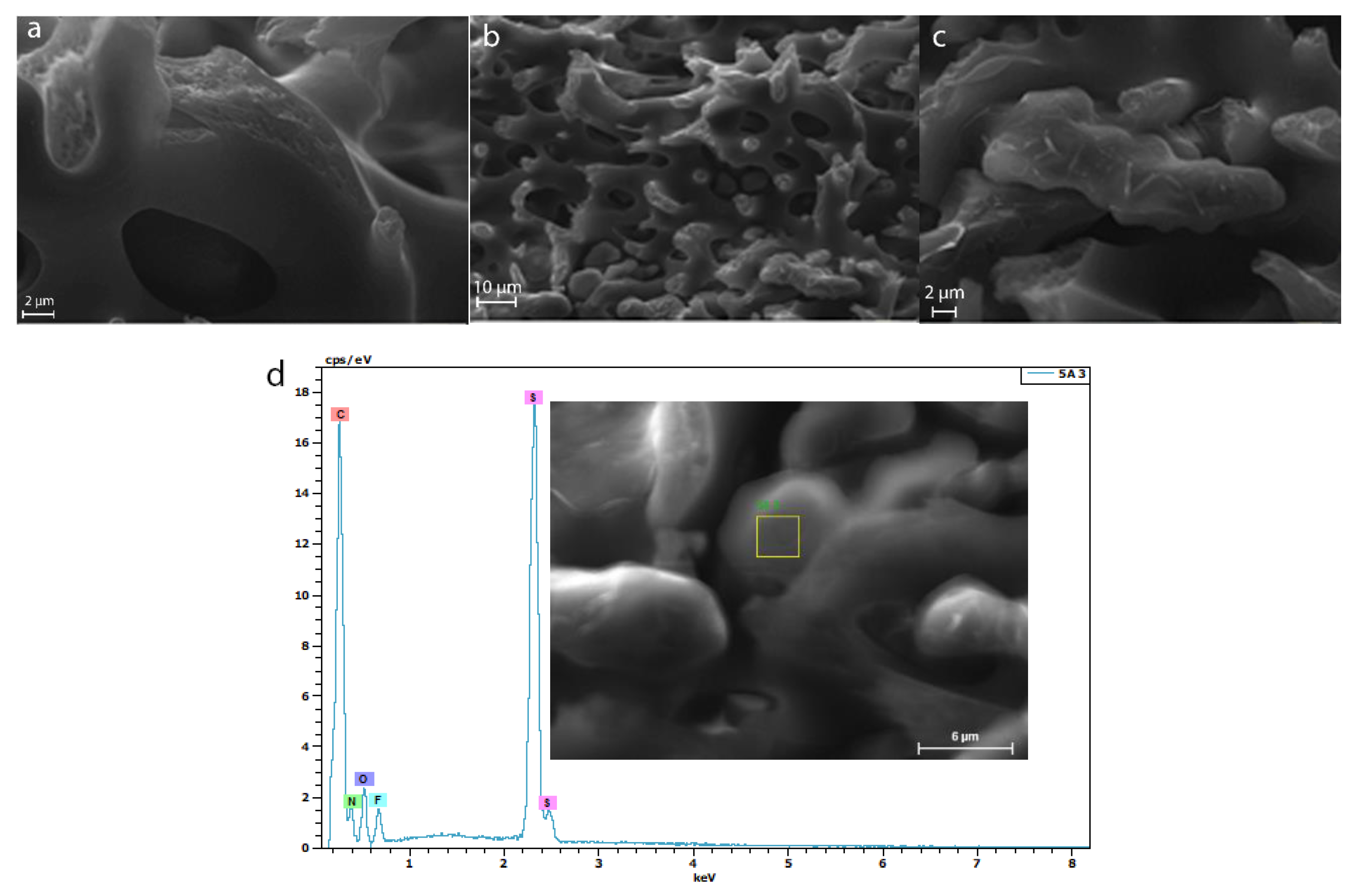 Polymers 13 03704 g005