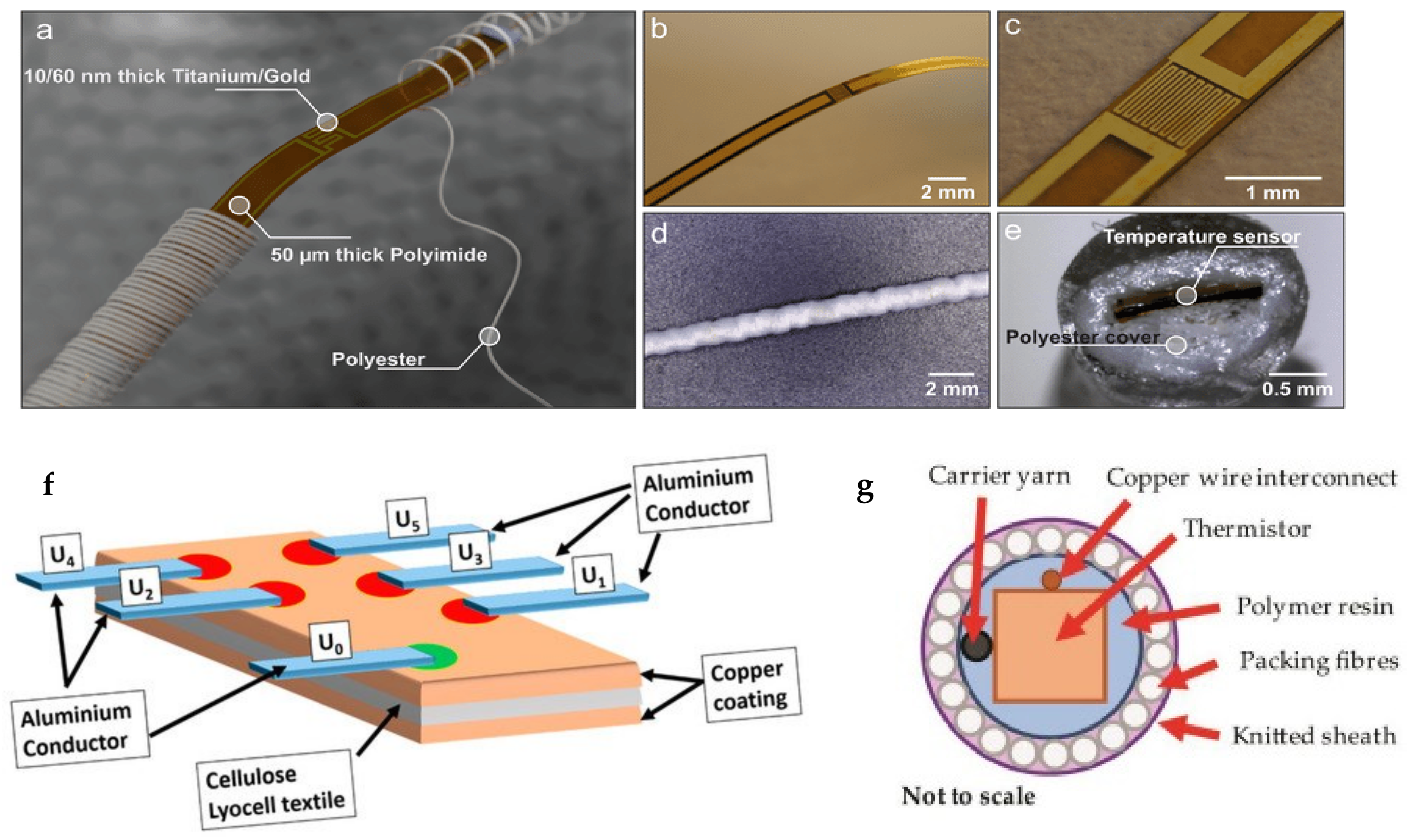 Polymers 13 03711 g002