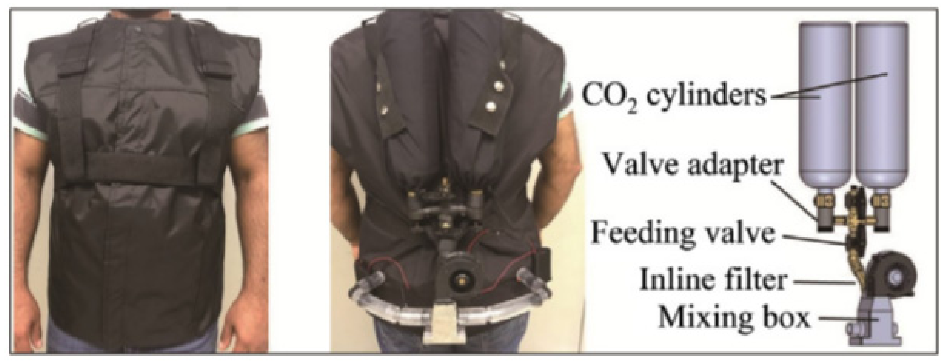 Polymers 13 03711 g005