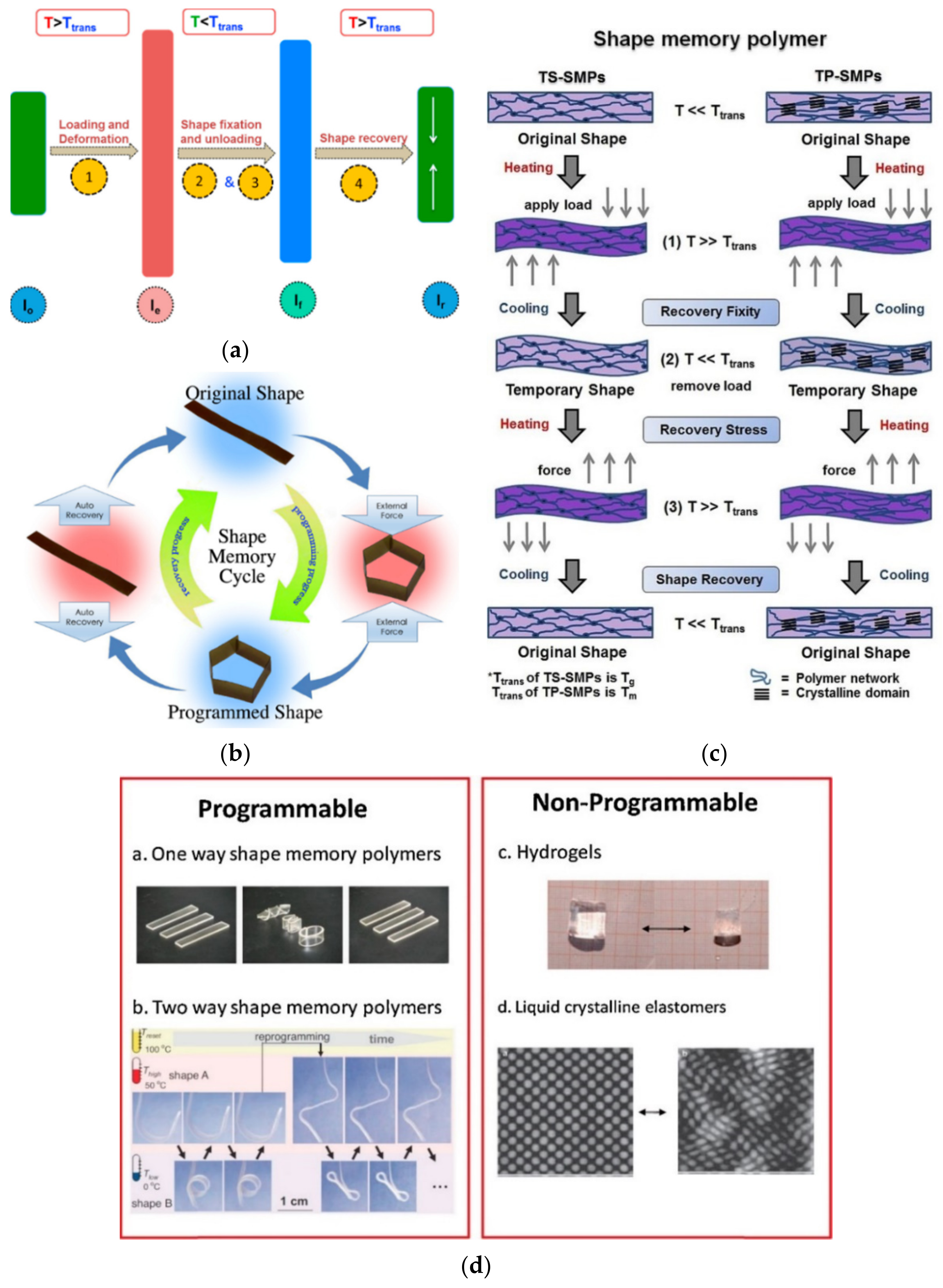 Polymers 13 03711 g010