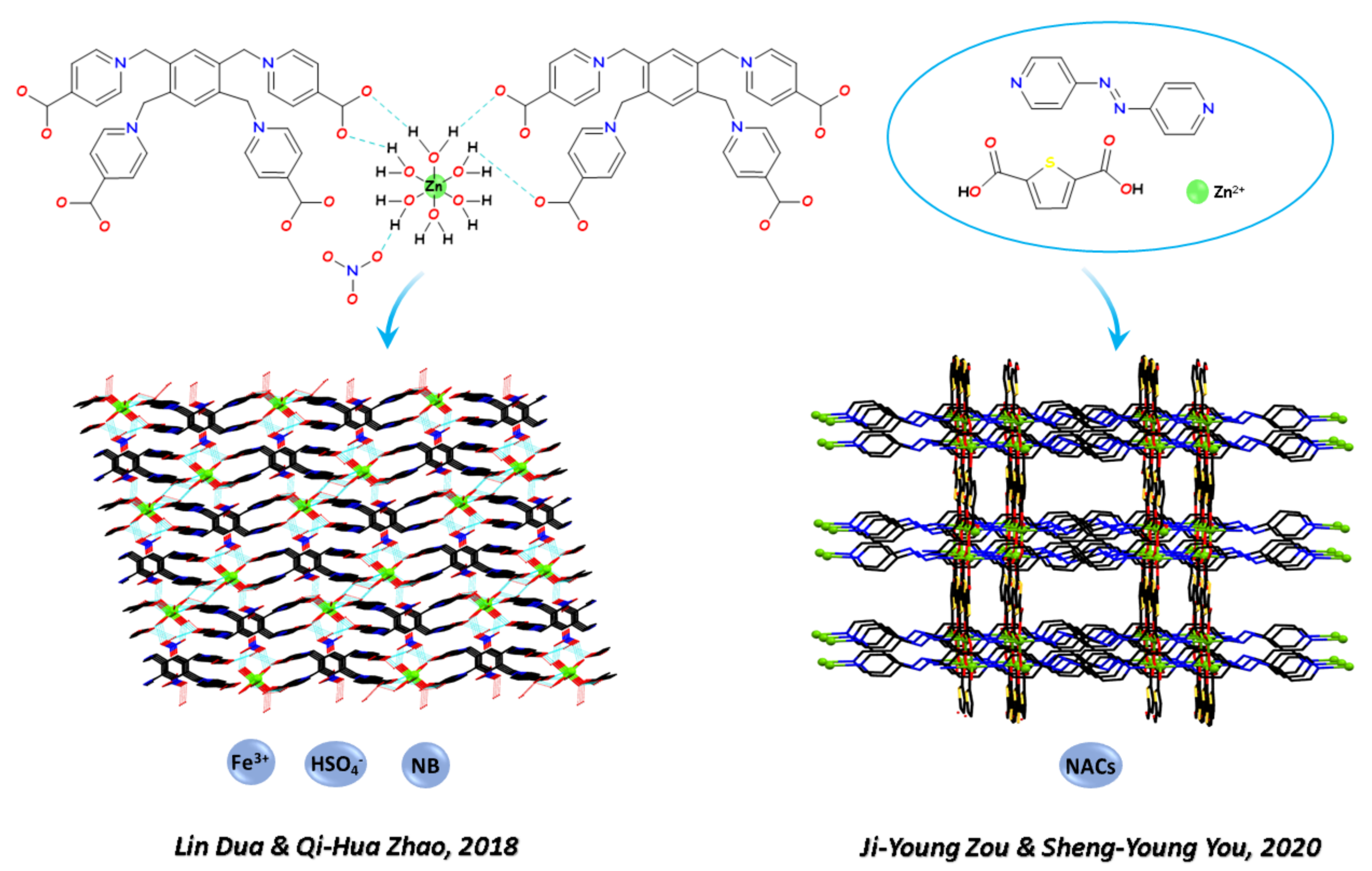 Polymers 13 03712 g002
