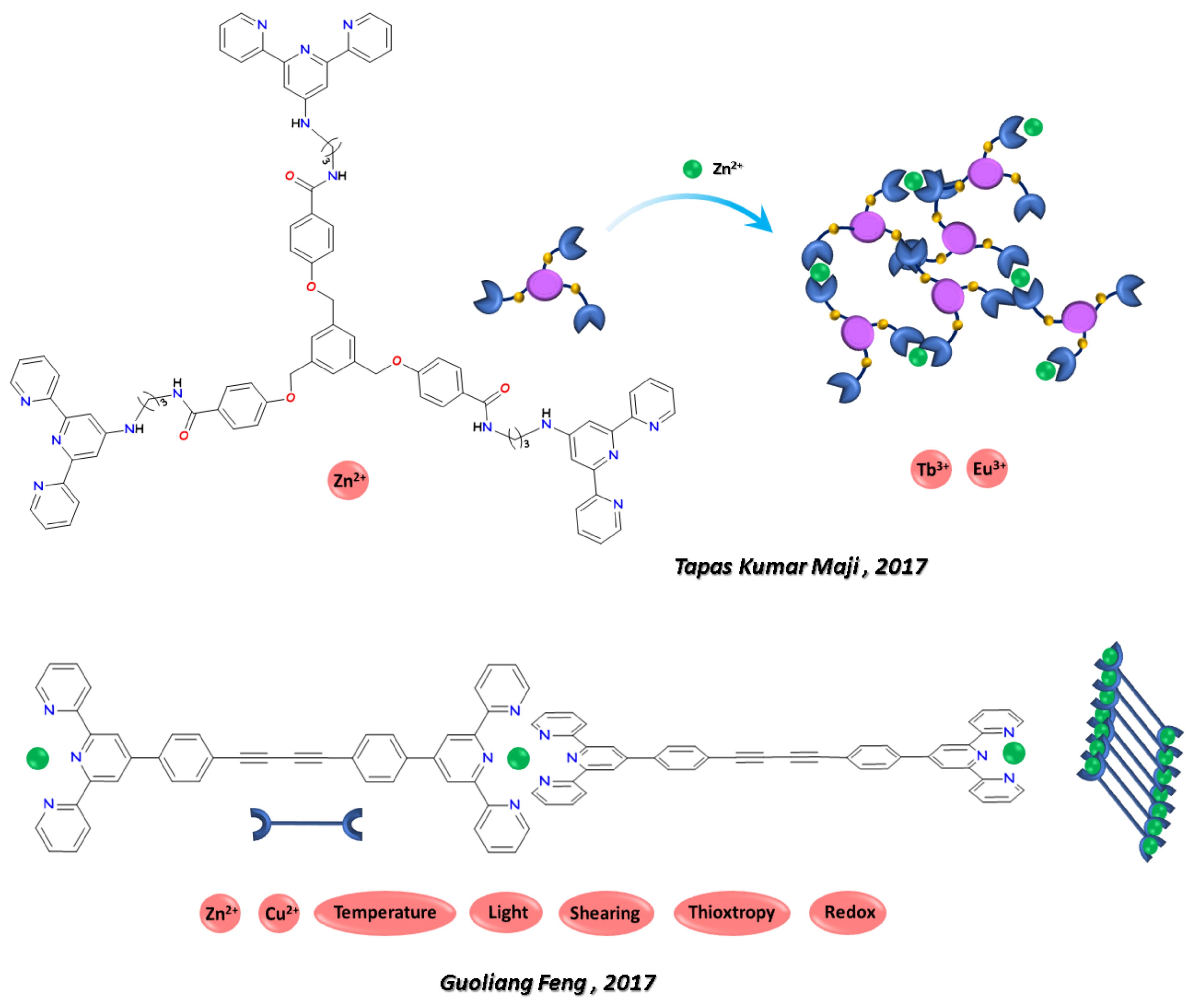 Polymers 13 03712 g006