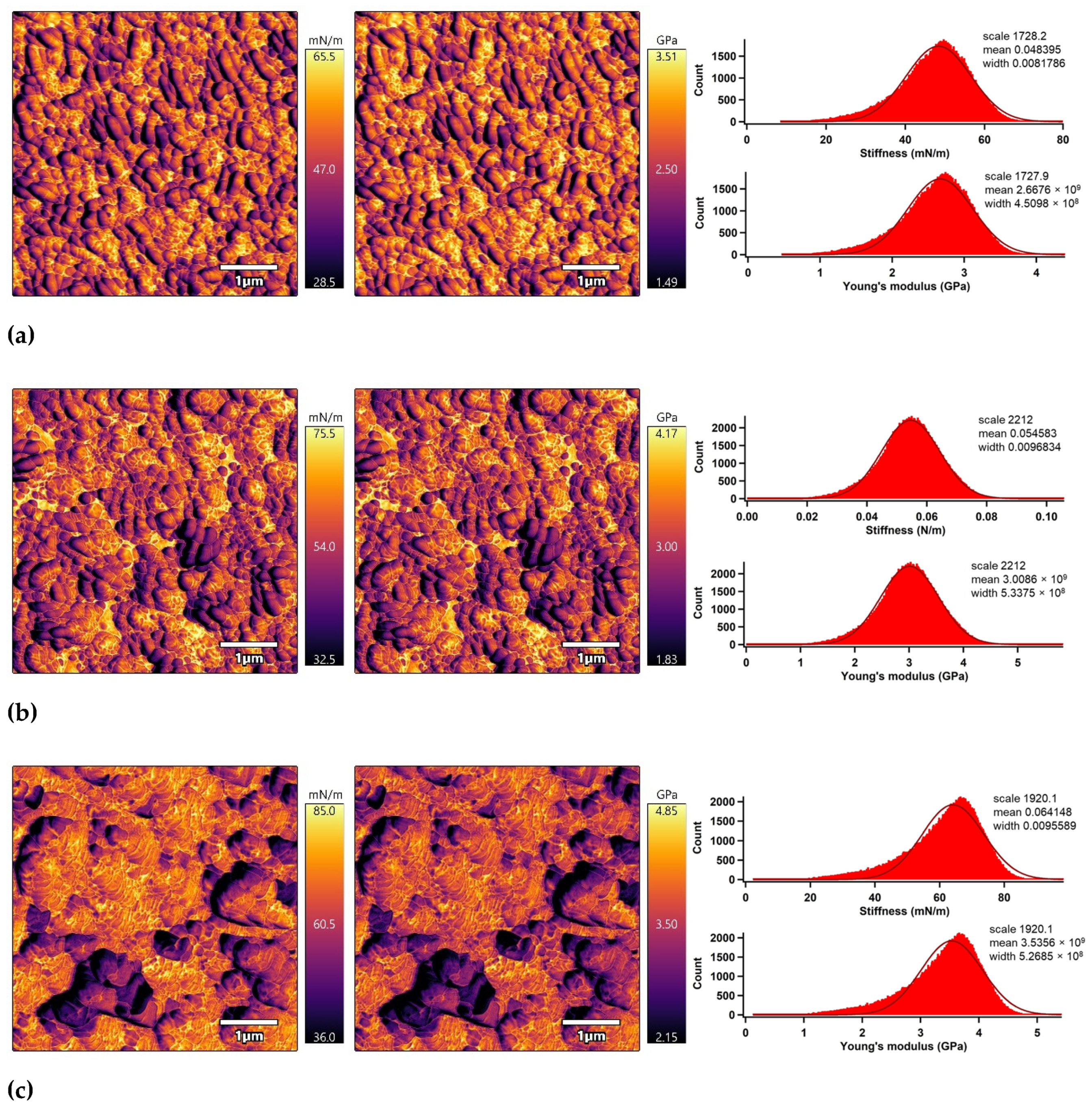 Polymers 13 03717 g007a