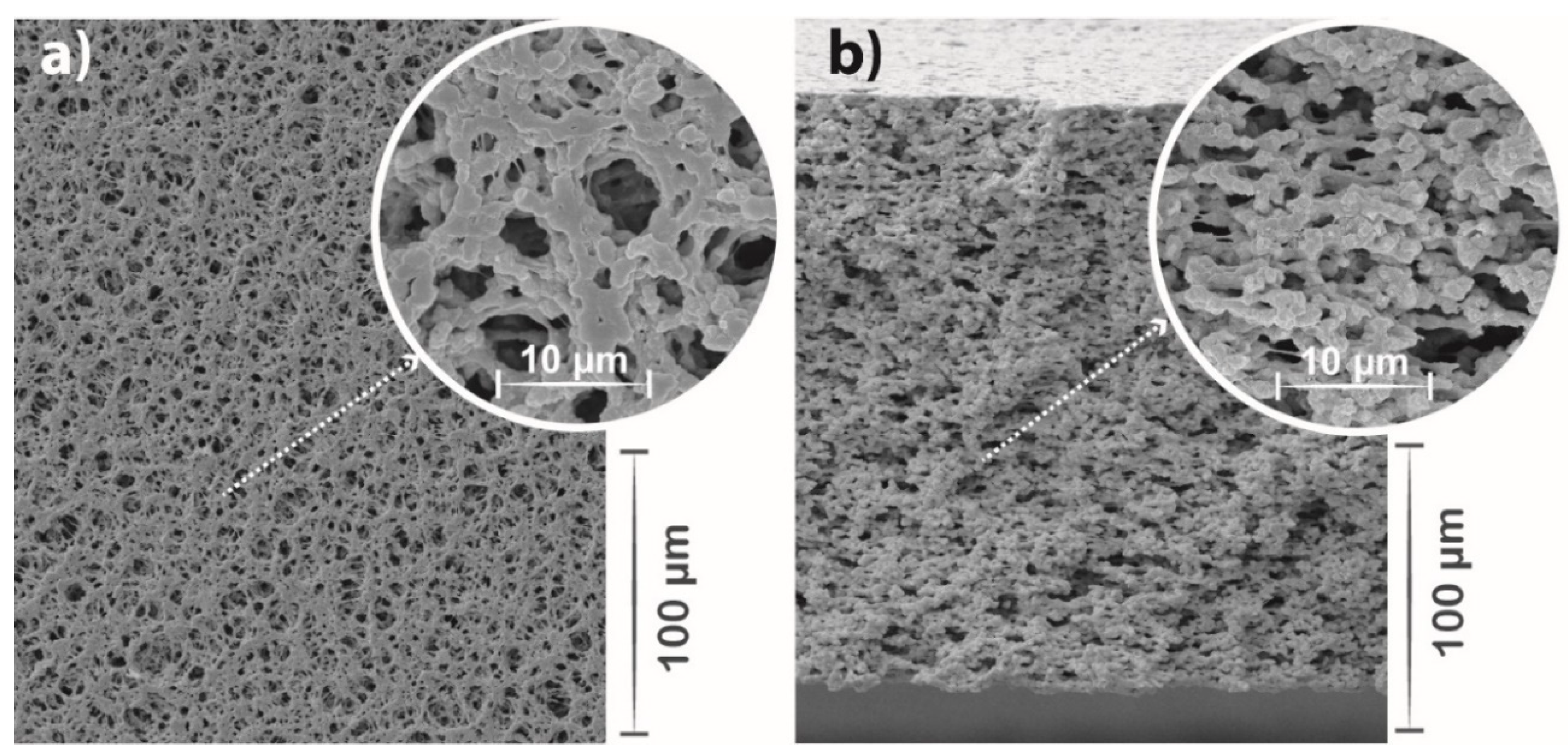 Polymers 13 03718 g004
