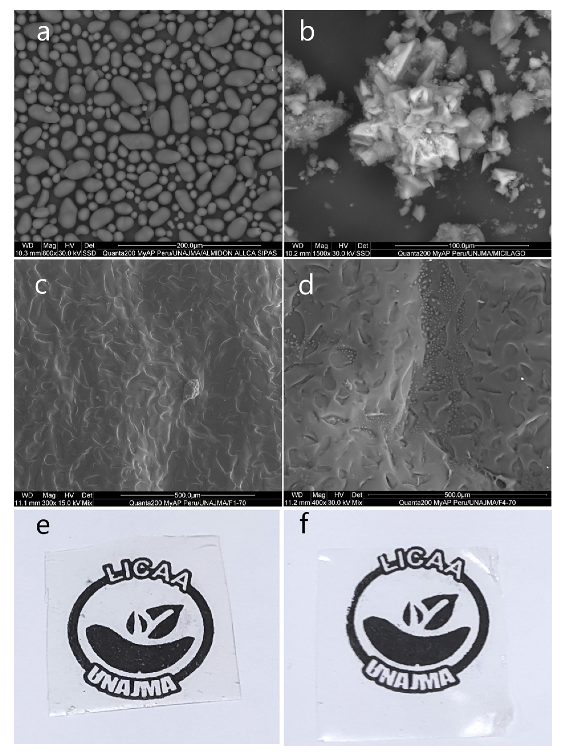 Polymers 13 03719 g005