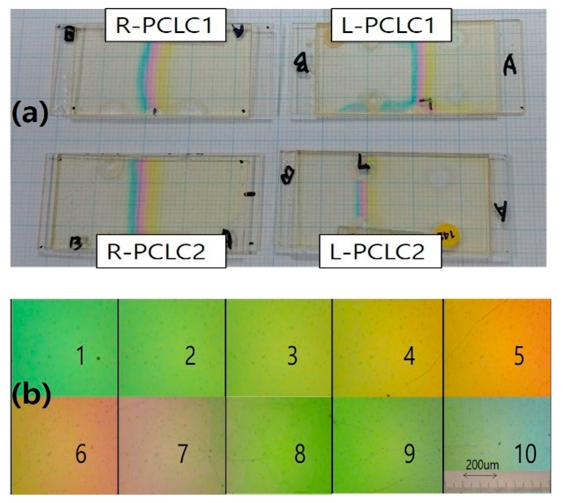 Polymers 13 03720 g003