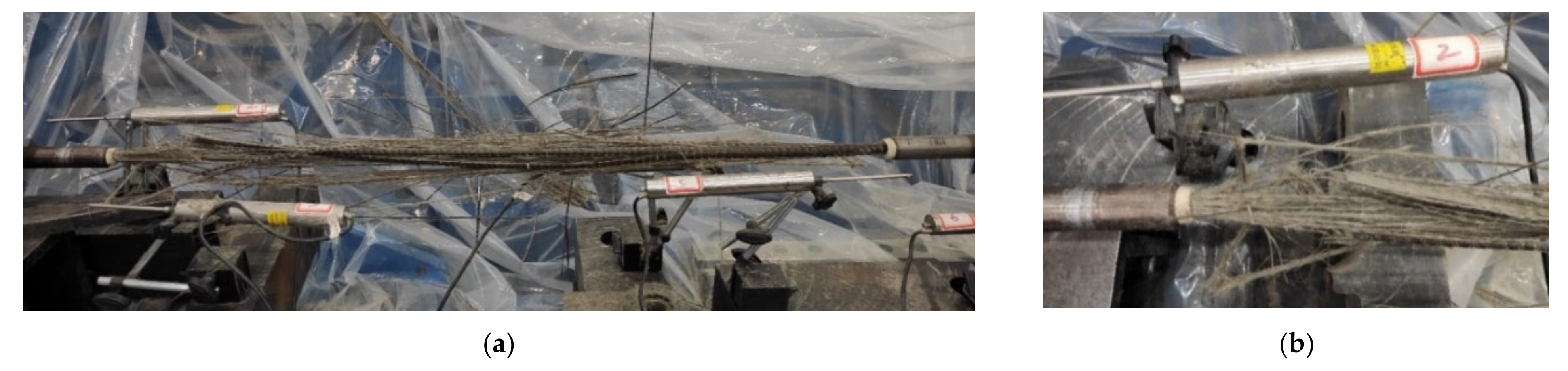 Polymers 13 03722 g004