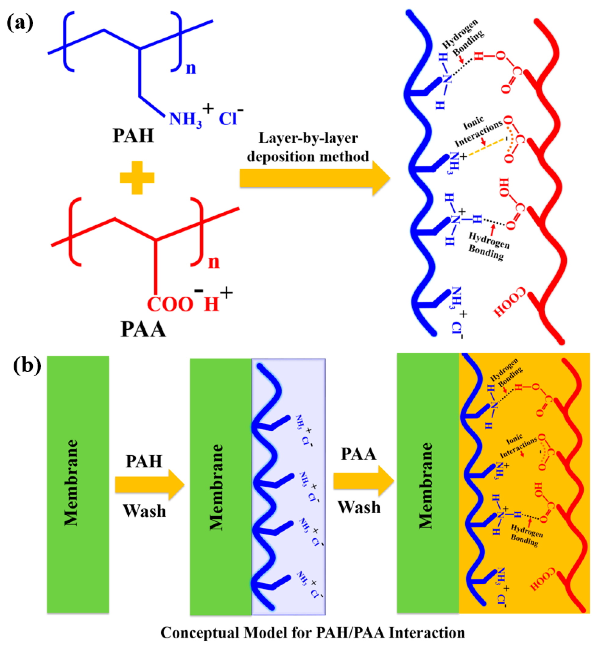 Polymers 13 03728 g002