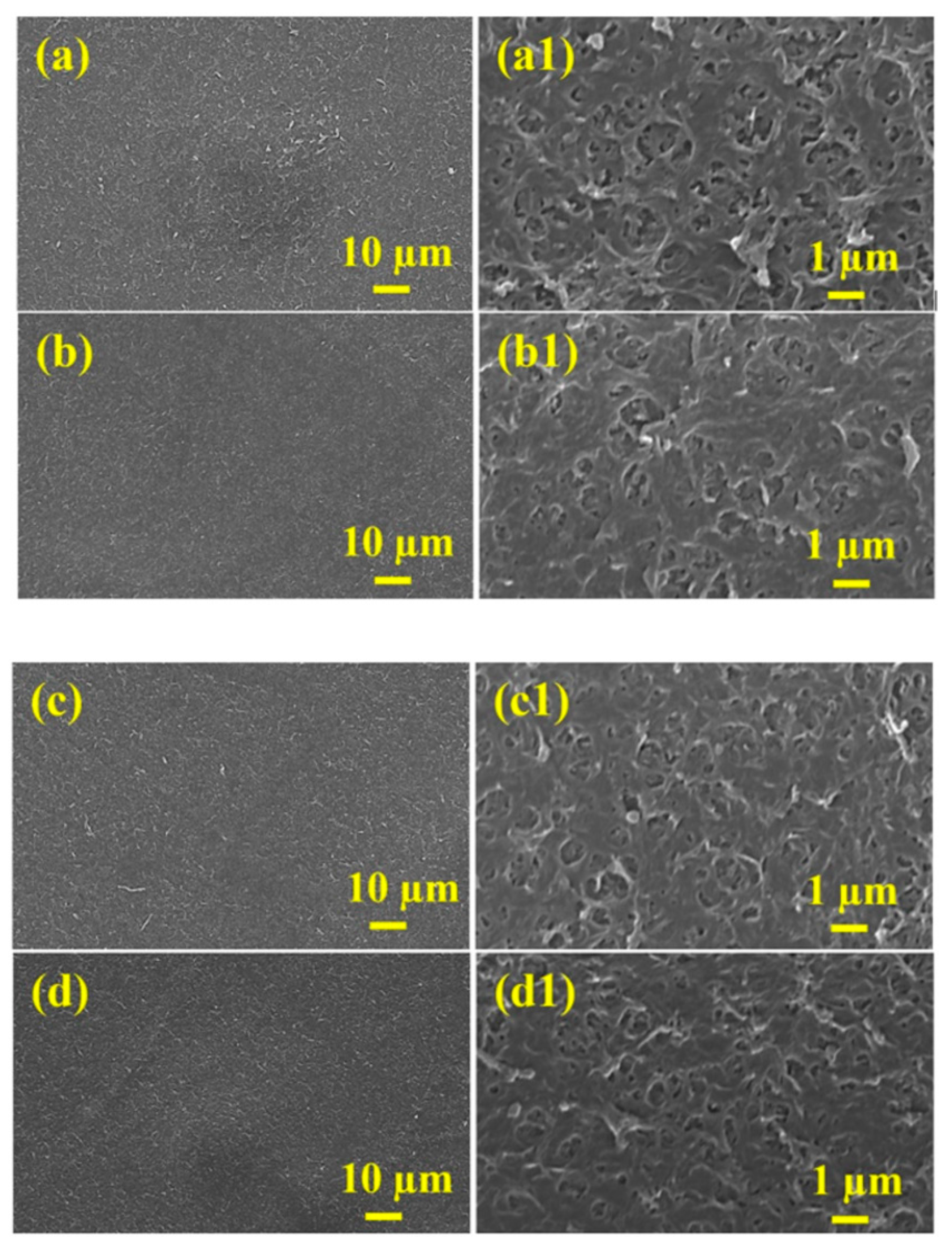 Polymers 13 03728 g004
