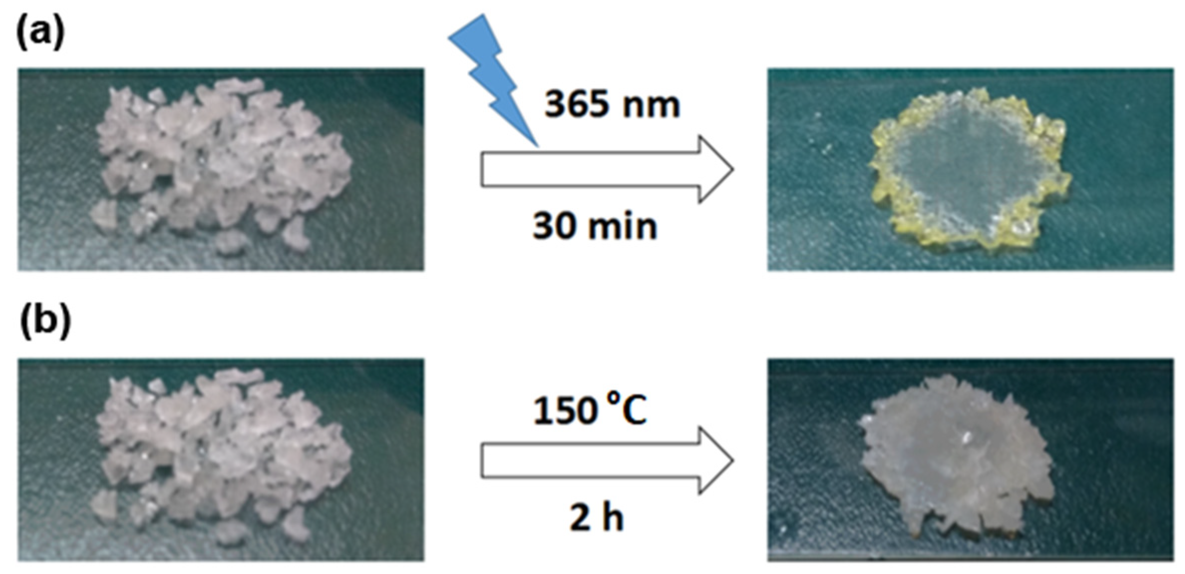 Polymers 13 03729 g006