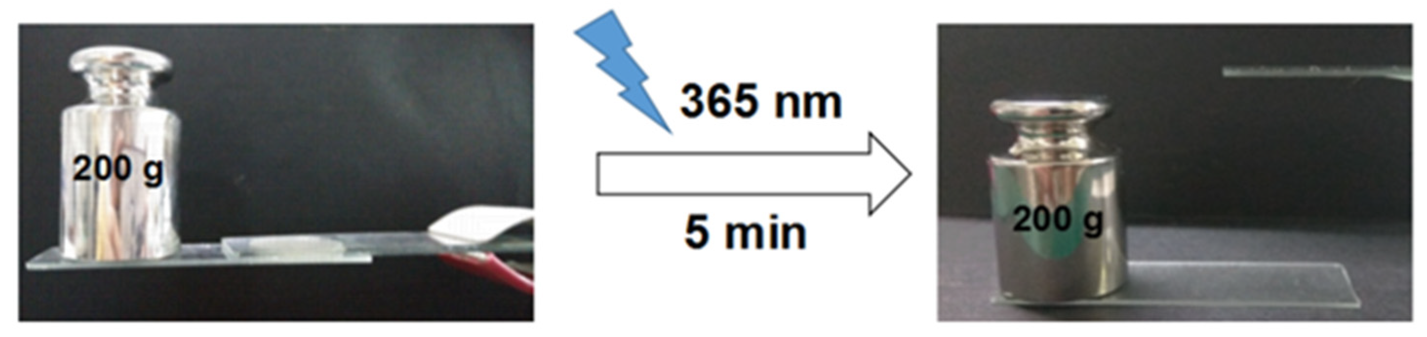 Polymers 13 03729 g008