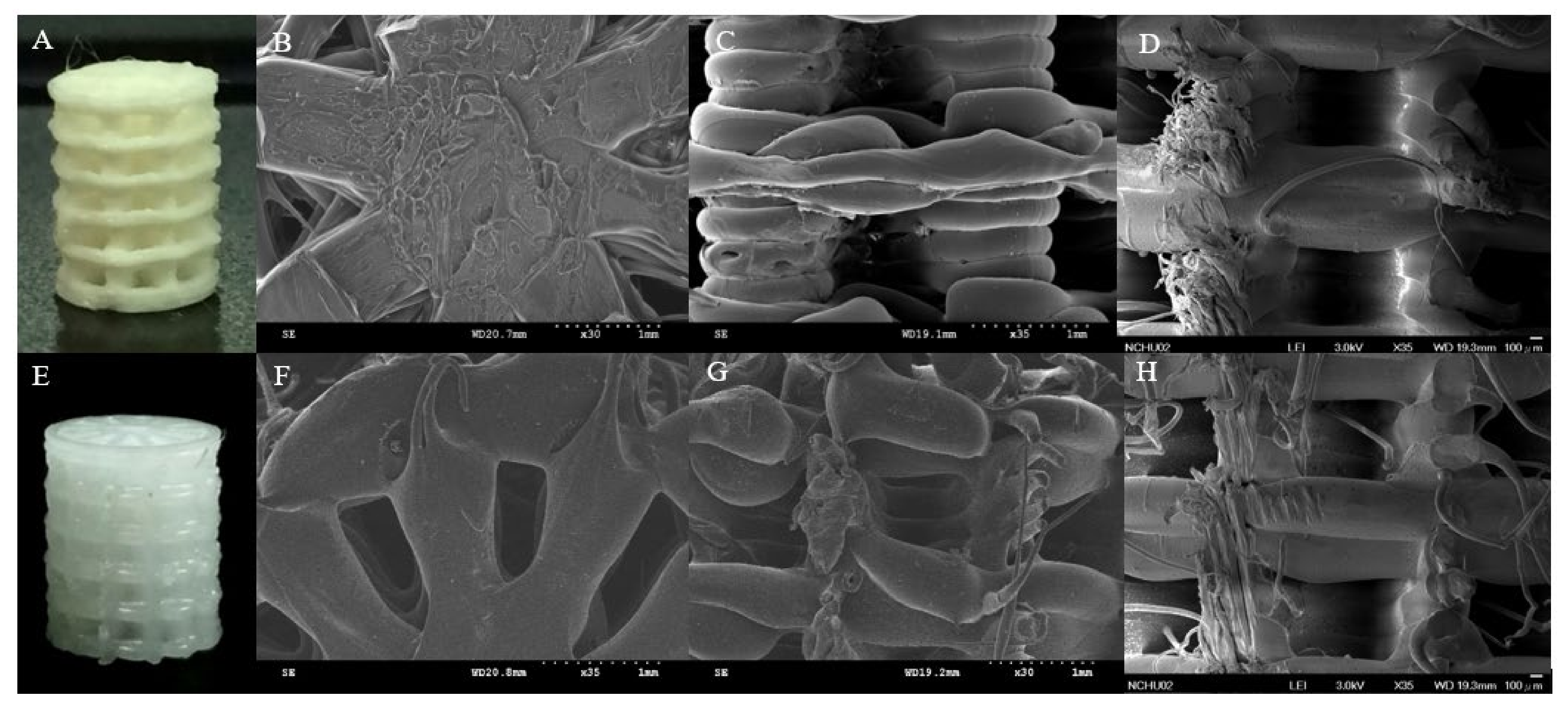 Polymers 13 03731 g001
