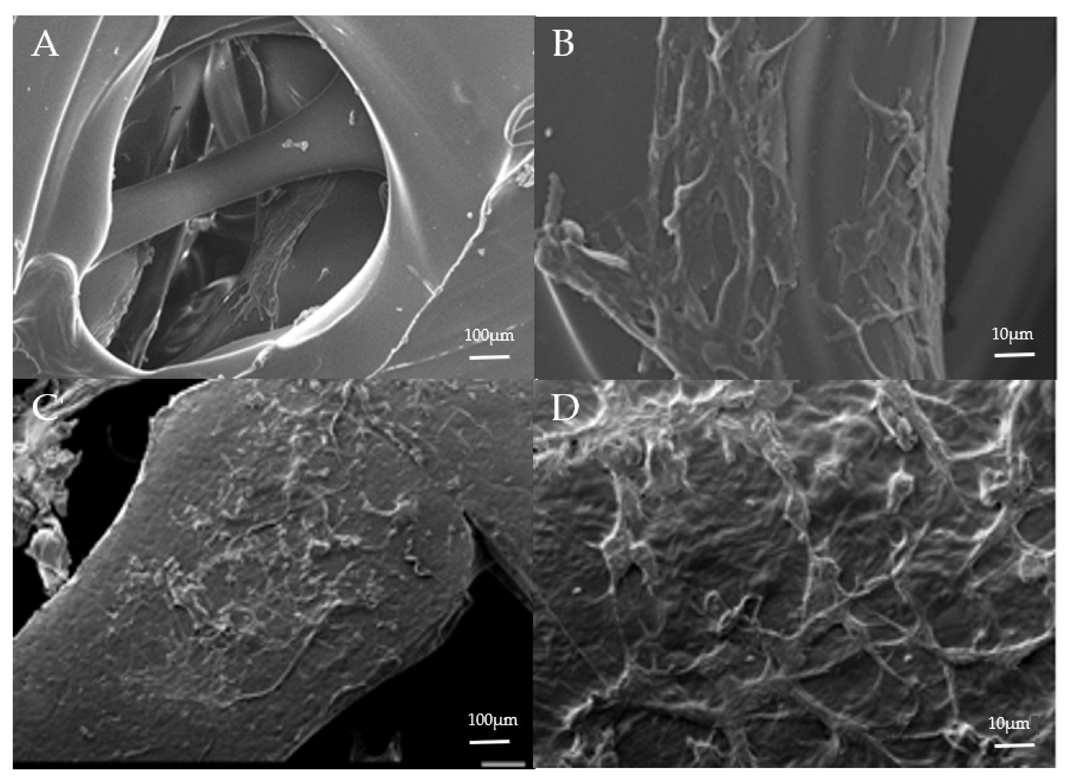 Polymers 13 03731 g005
