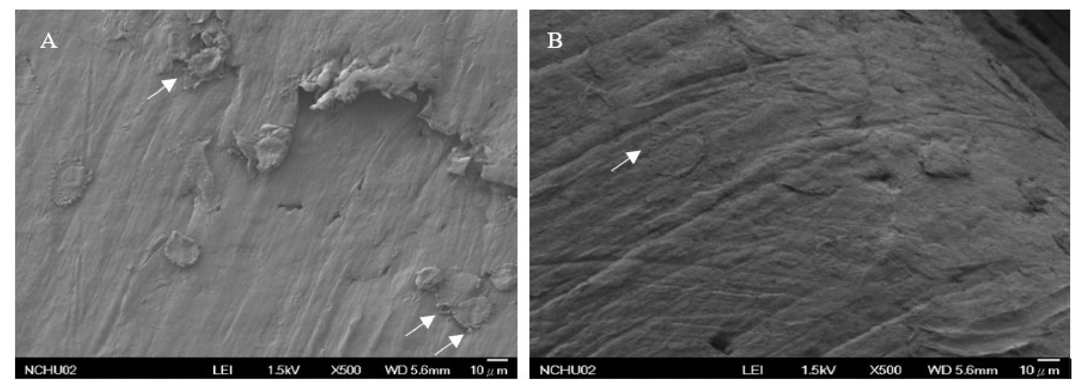 Polymers 13 03731 g009