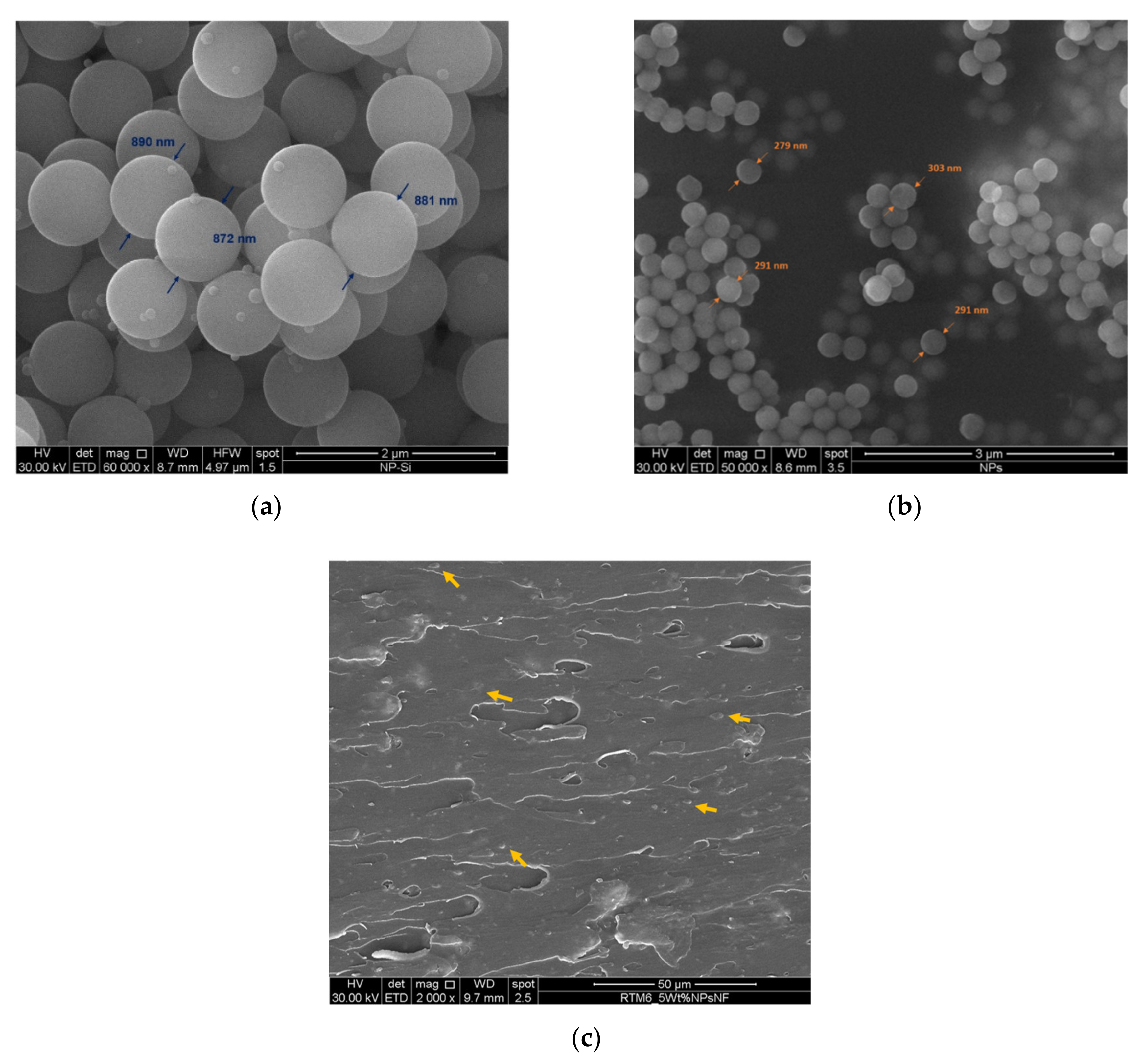 Polymers 13 03735 g002