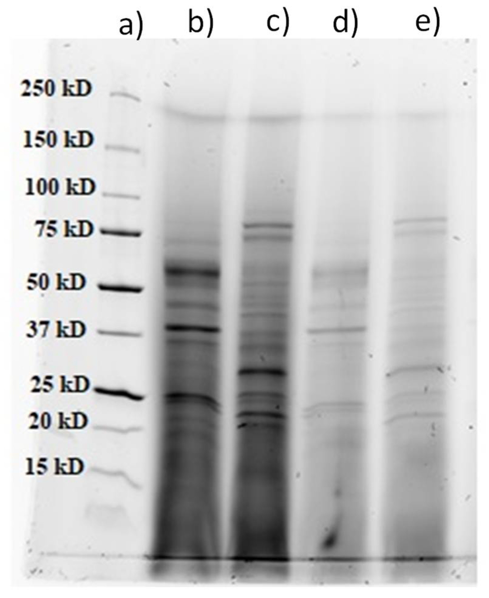 Polymers 13 03736 g003