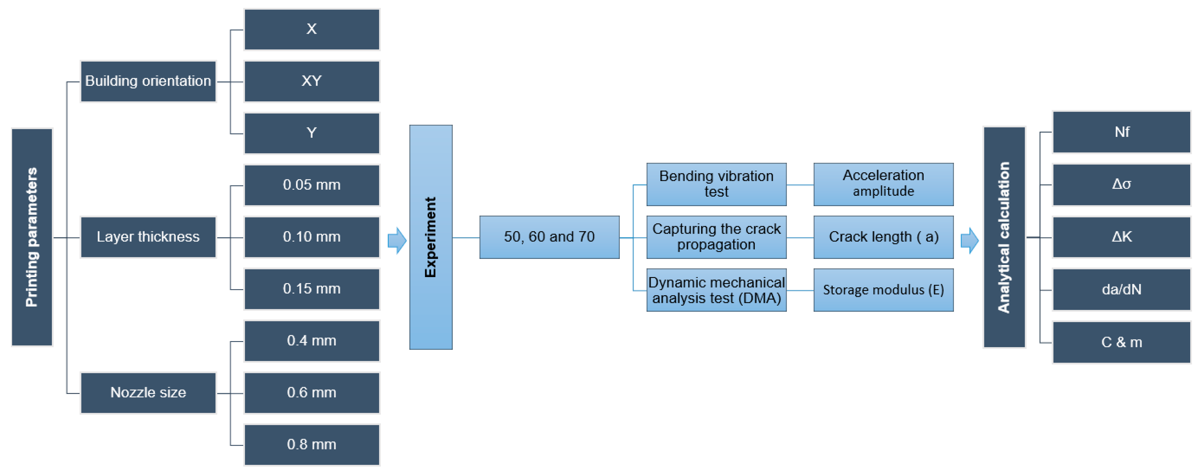 Polymers 13 03737 g006
