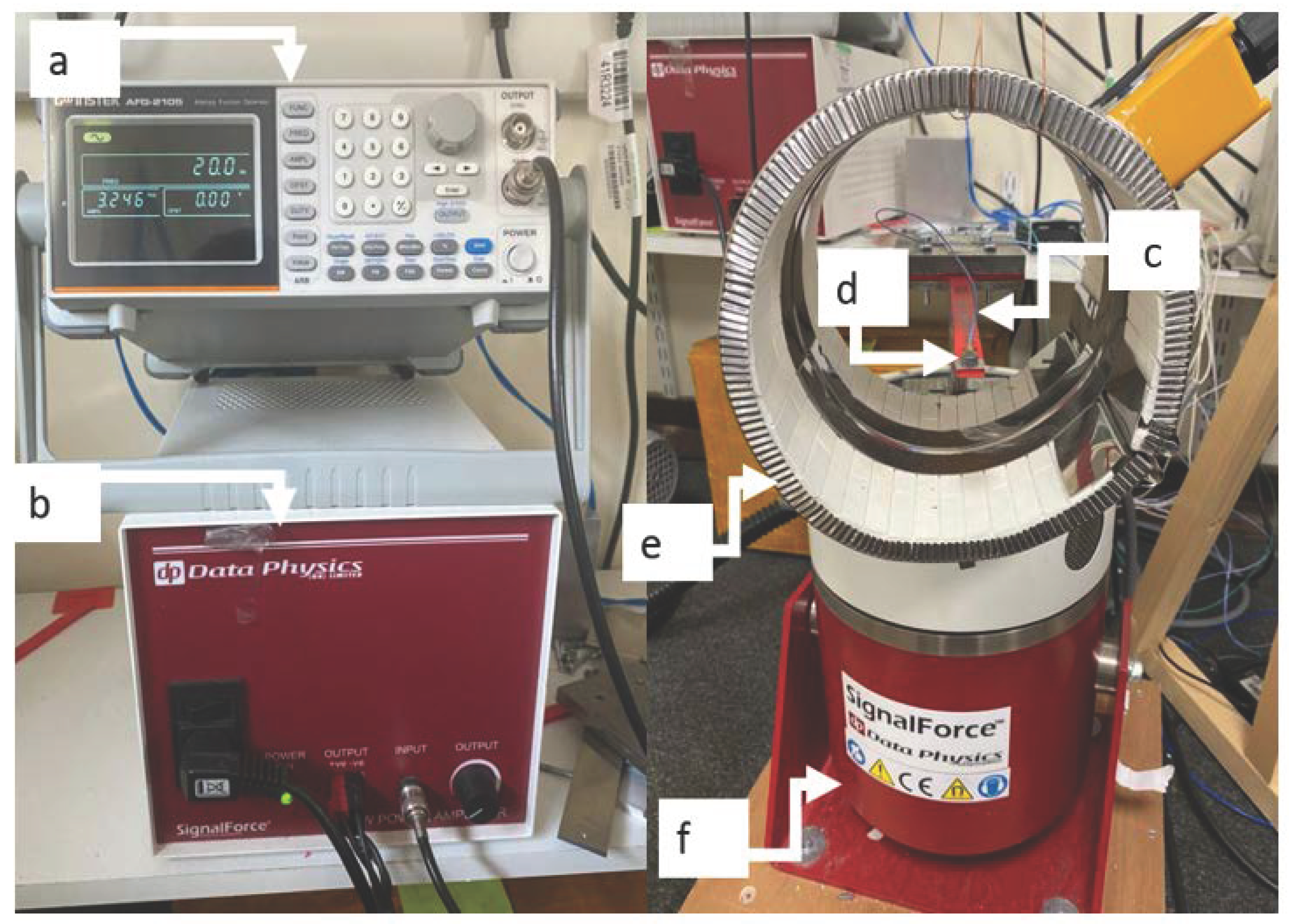 Polymers 13 03737 g007