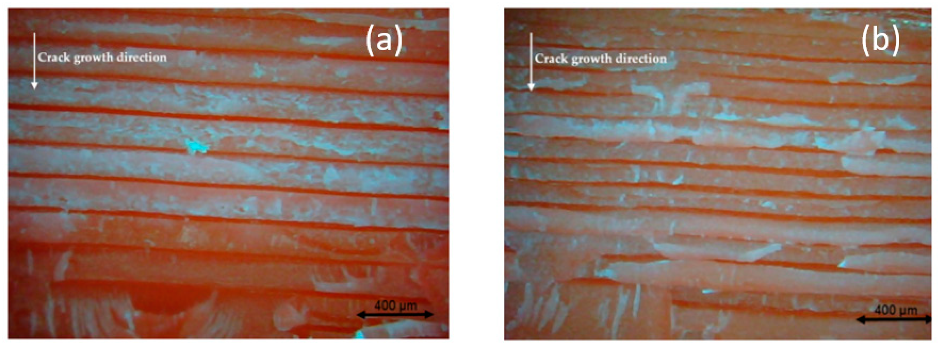 Polymers 13 03737 g011