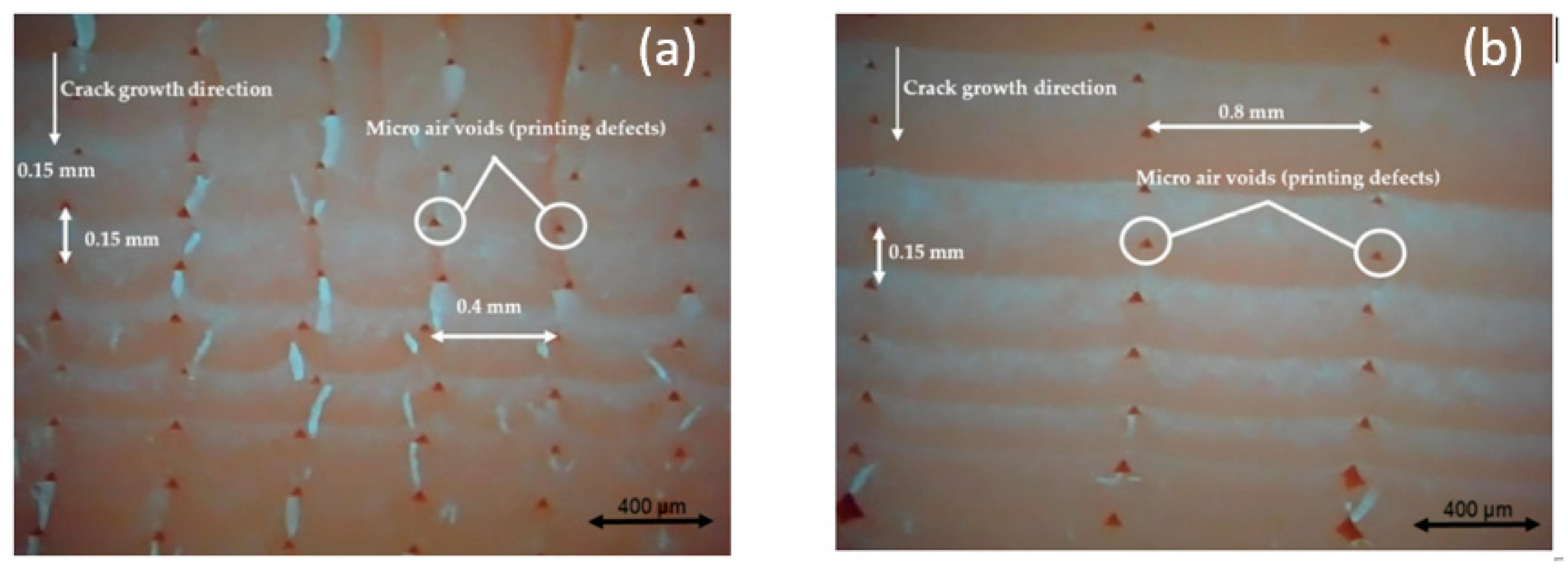 Polymers 13 03737 g013