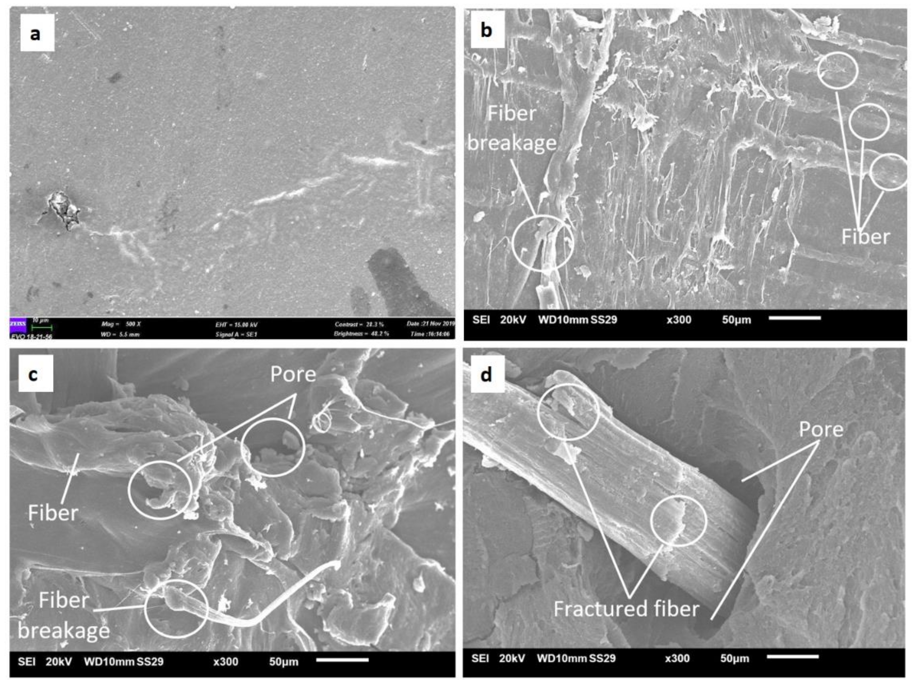 Polymers 13 03739 g010