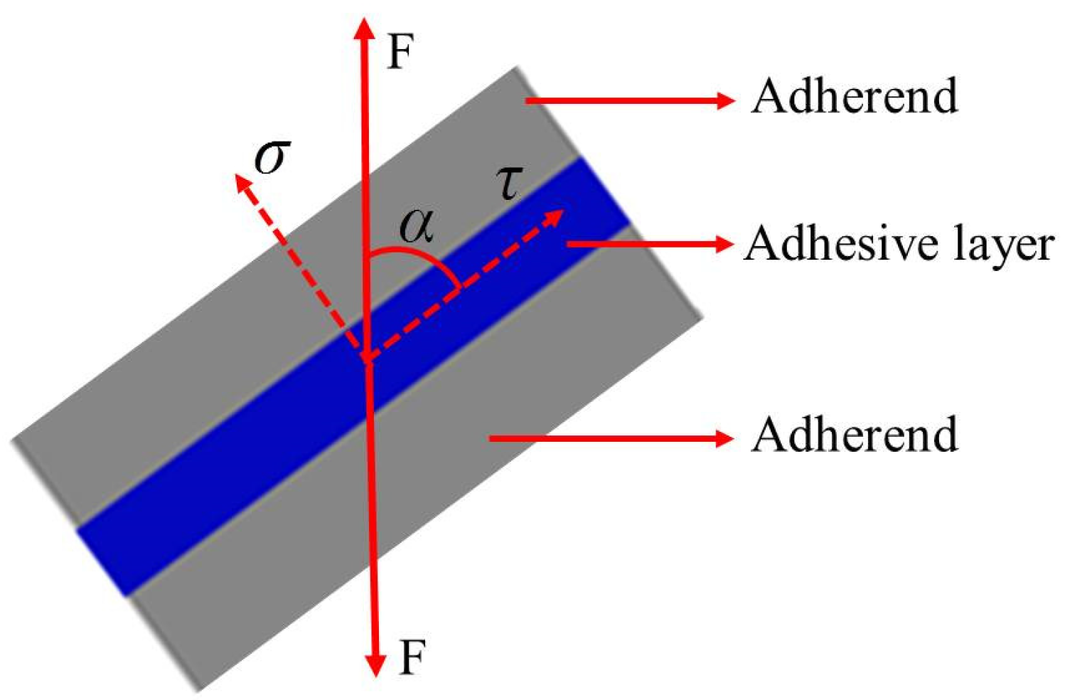 Polymers 13 03741 g003