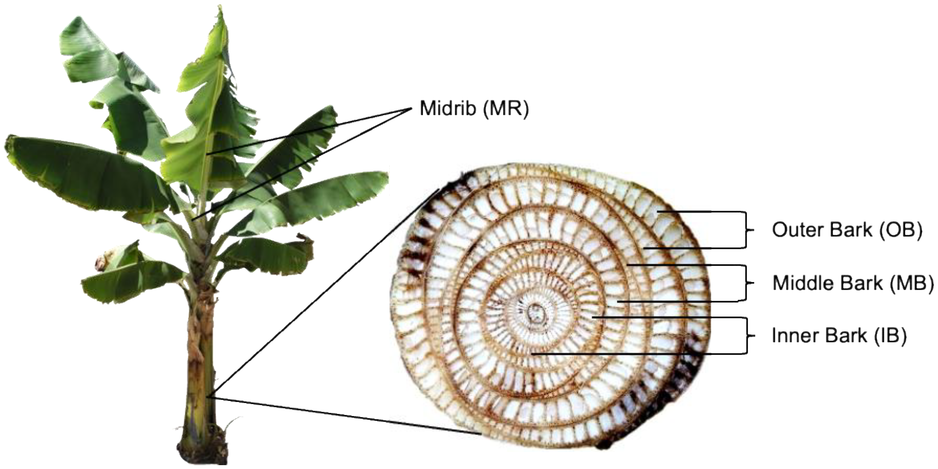 Polymers 13 03744 g001