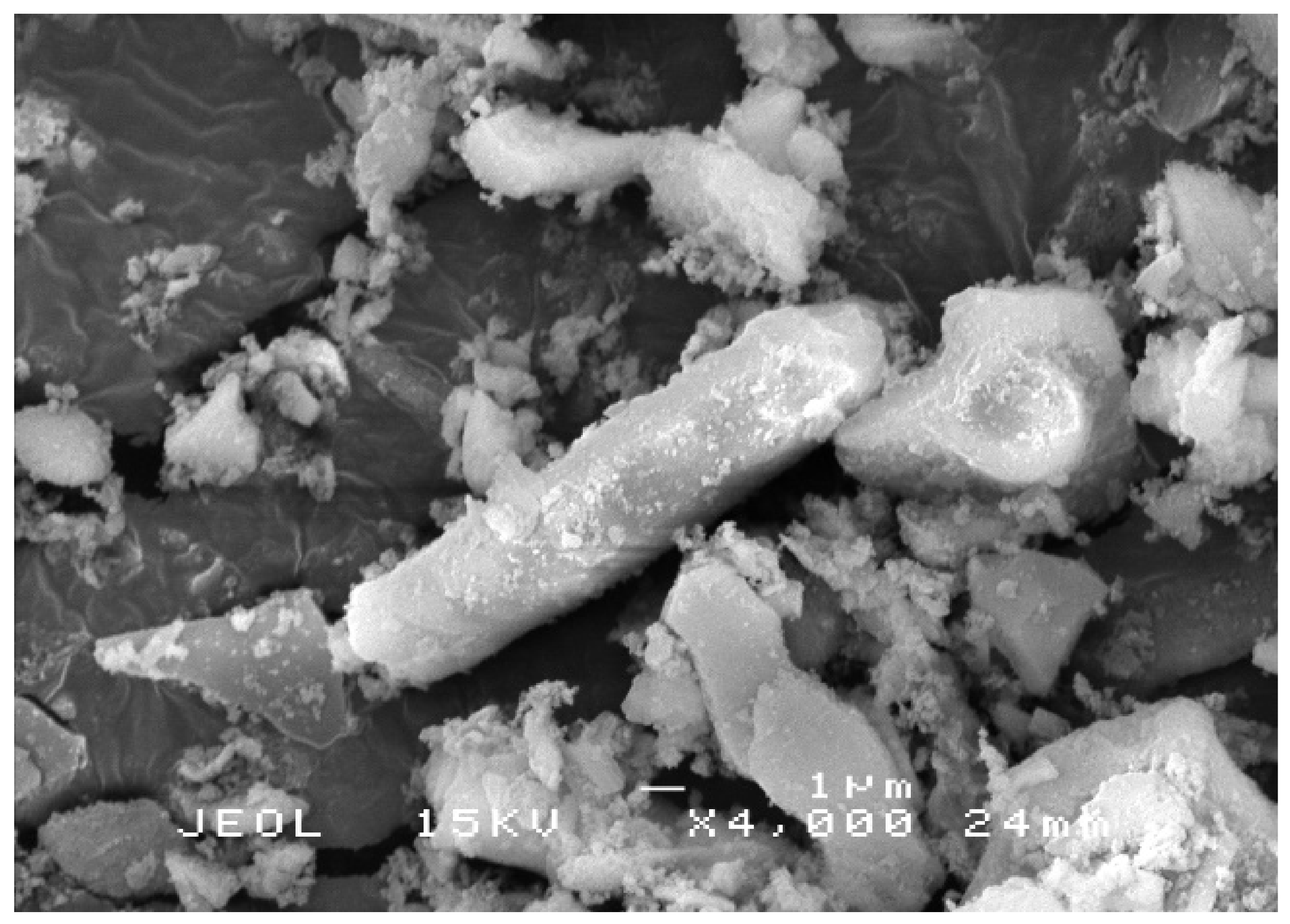 Polymers 13 03747 g002