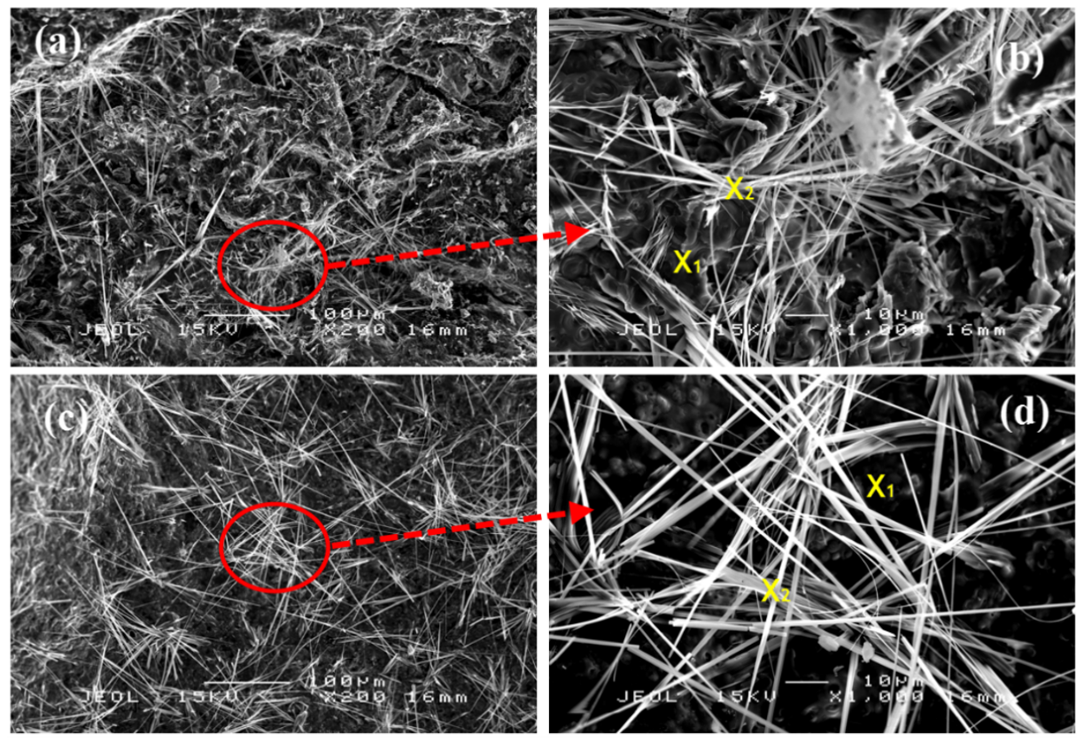 Polymers 13 03747 g016