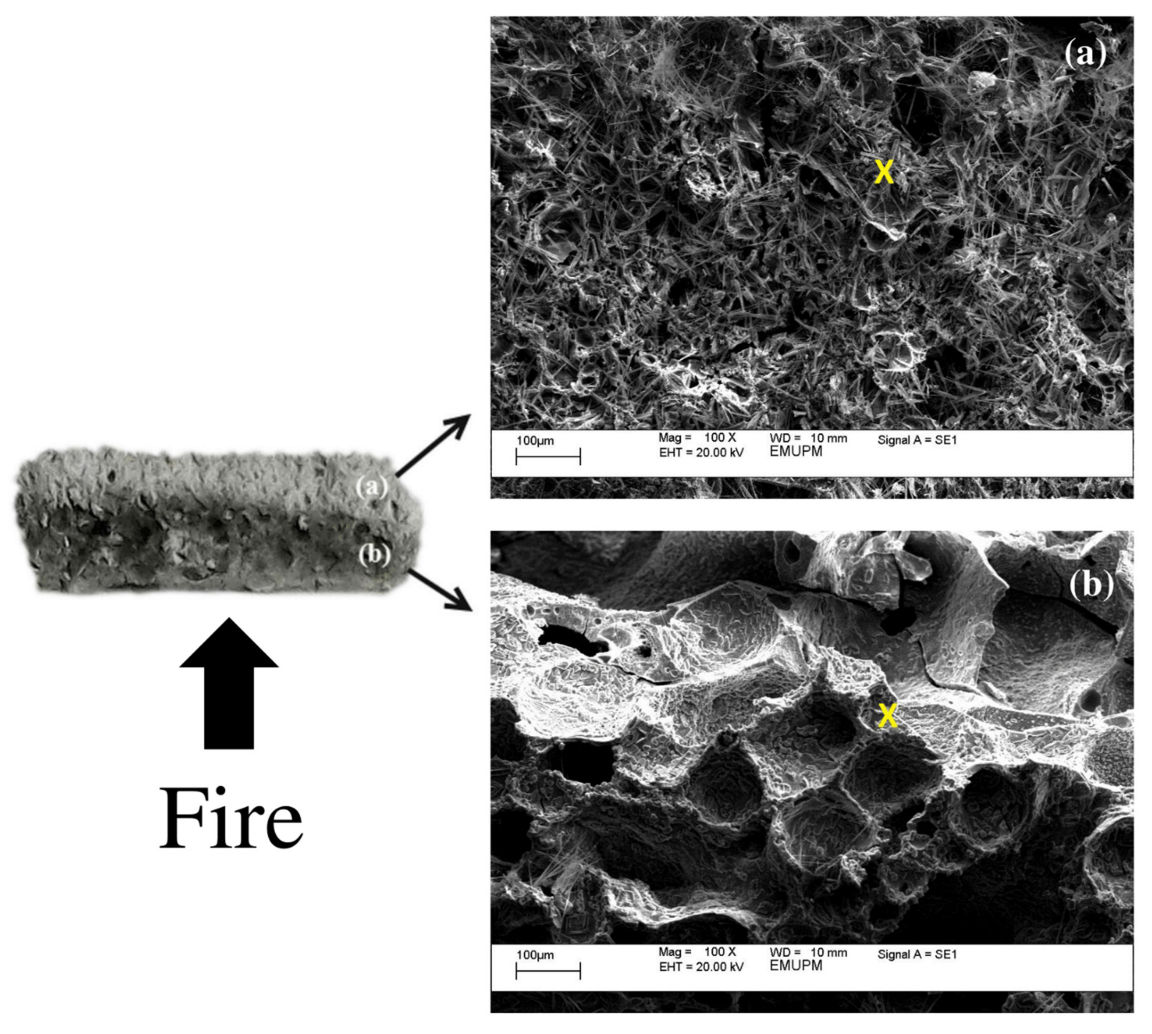 Polymers 13 03747 g017