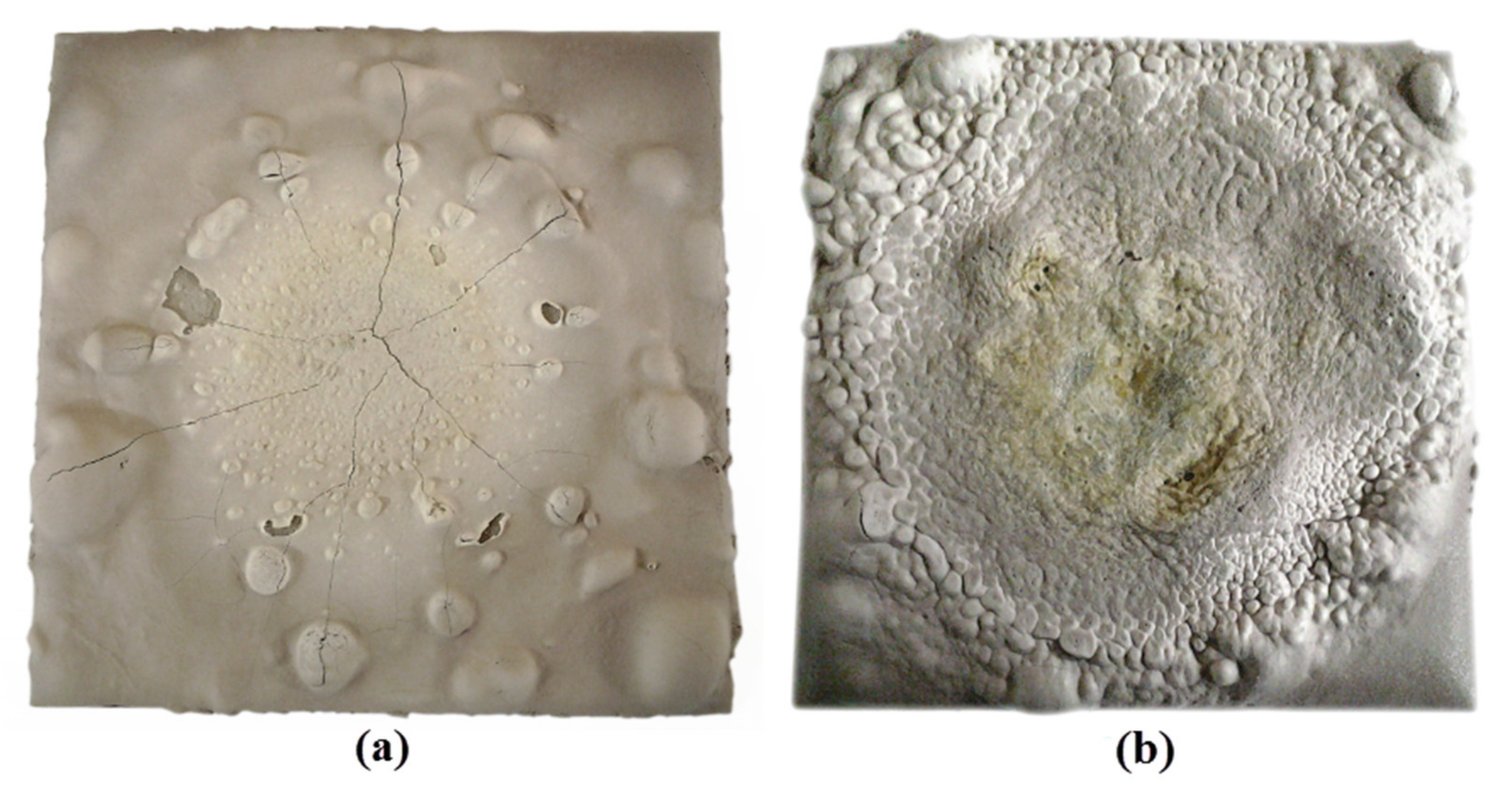 Polymers 13 03747 g020