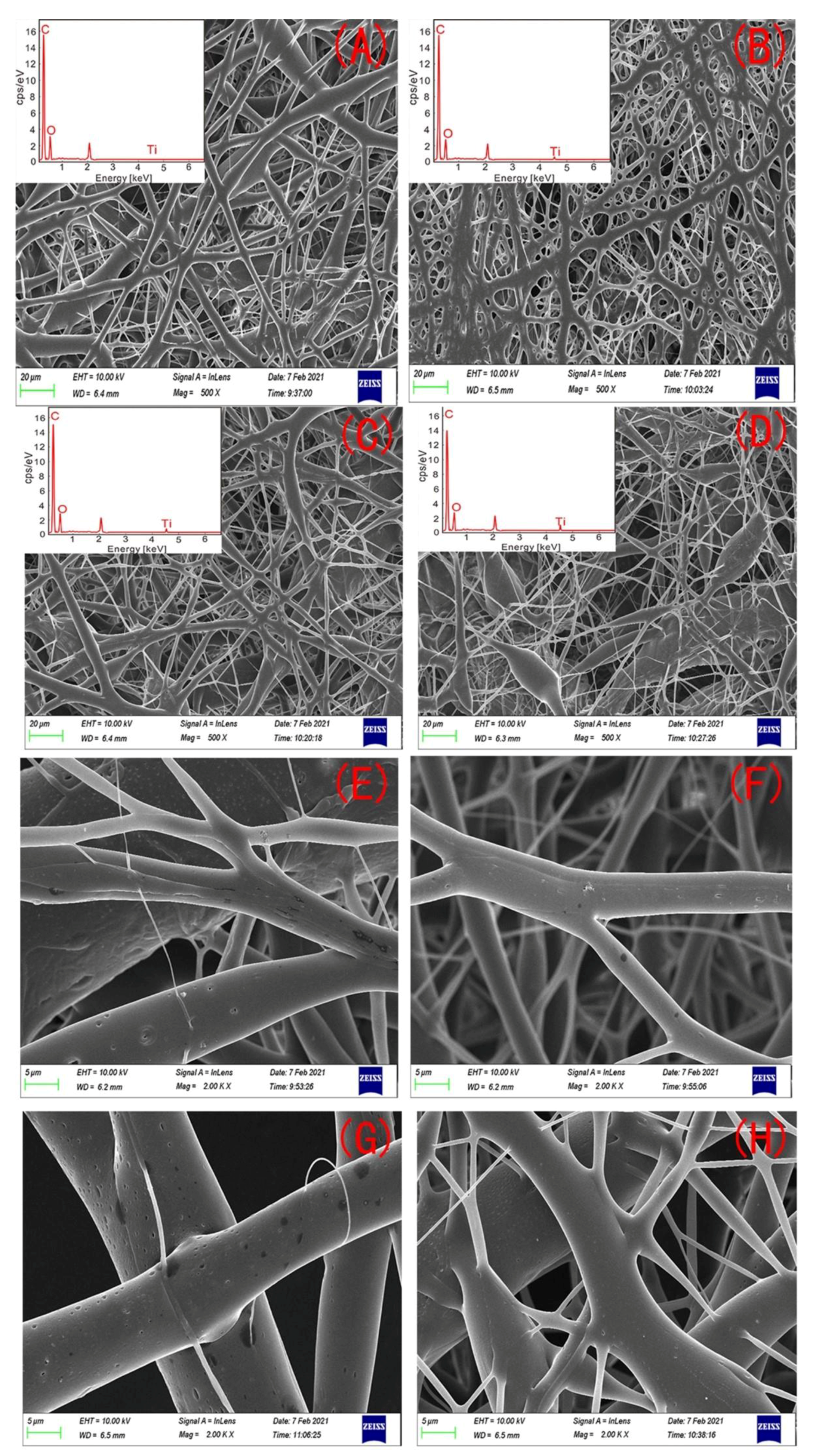Polymers 13 03748 g002
