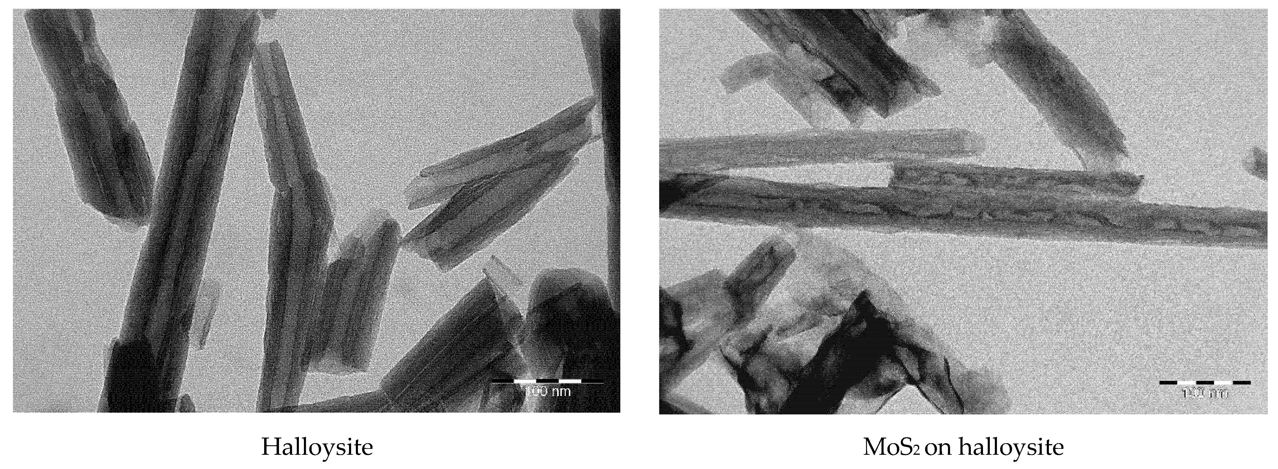Polymers 13 03749 g001b