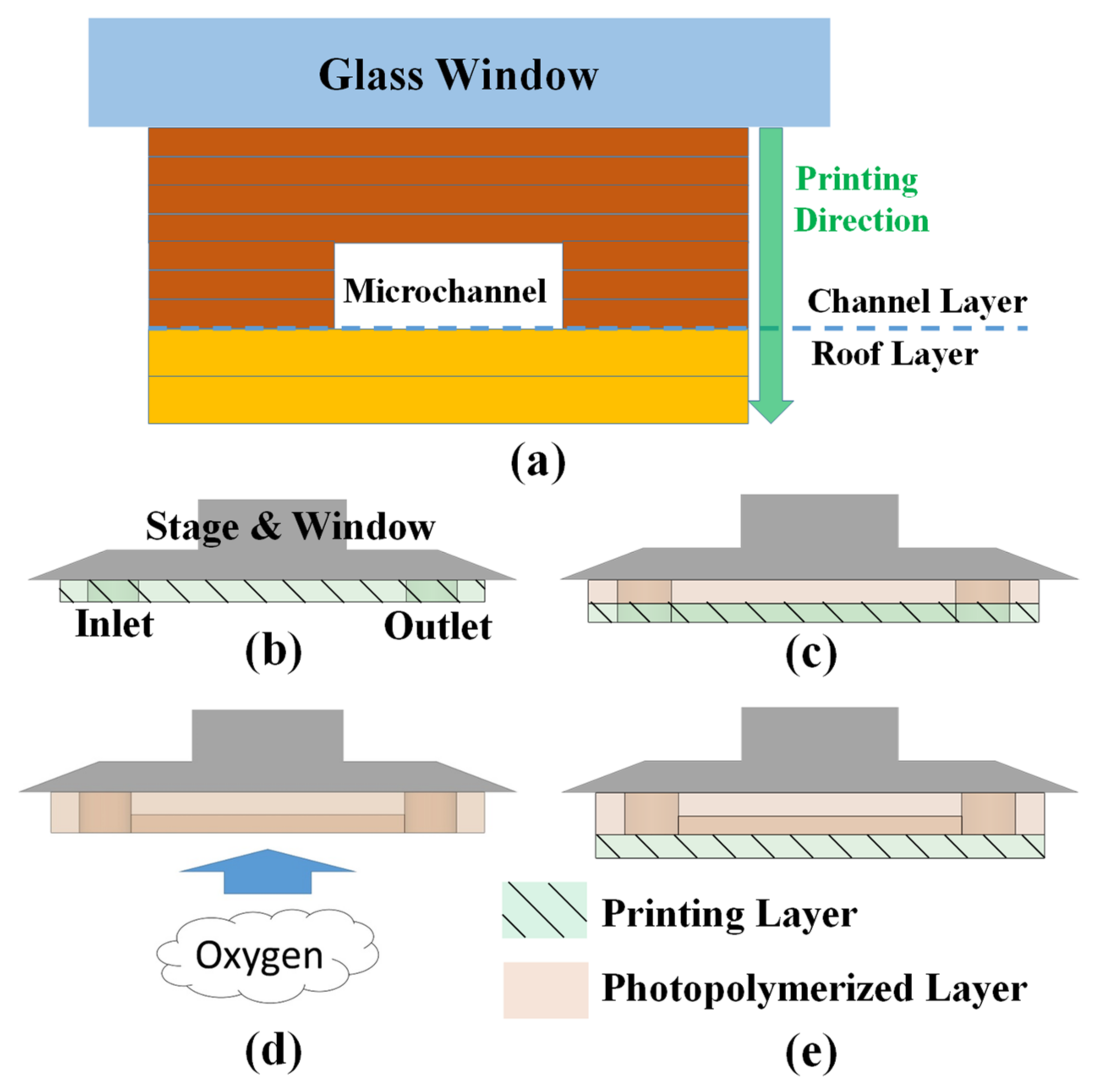 Polymers 13 03750 g002