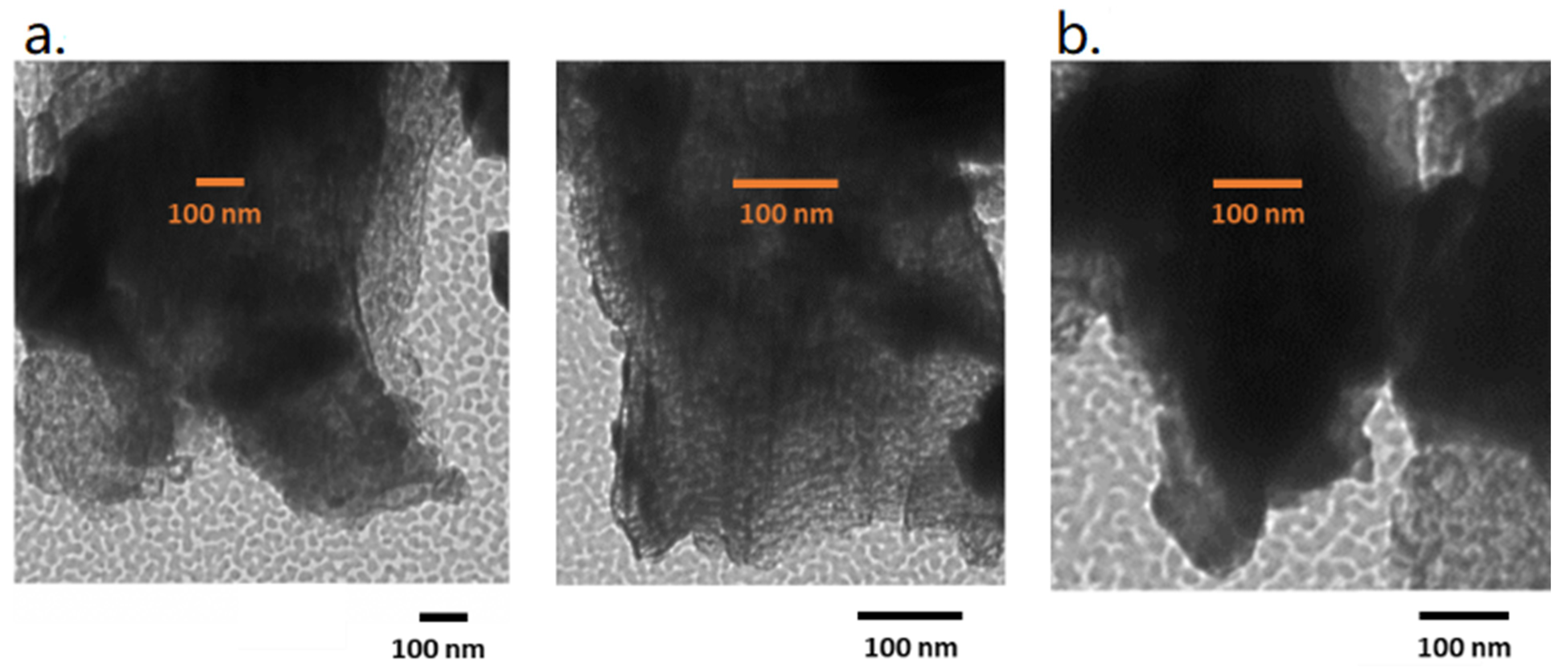 Polymers 13 03752 g001