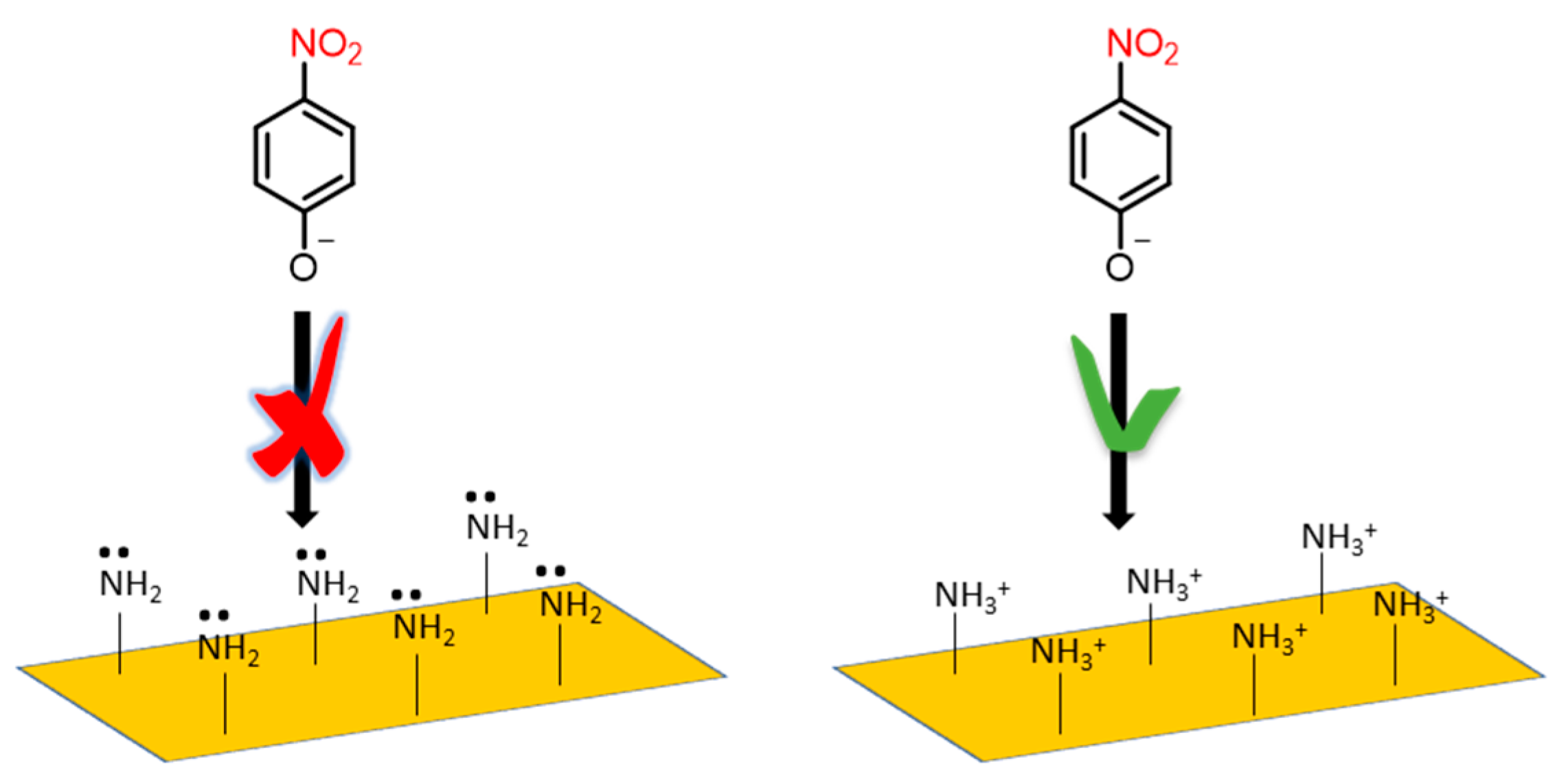 Polymers 13 03752 g011