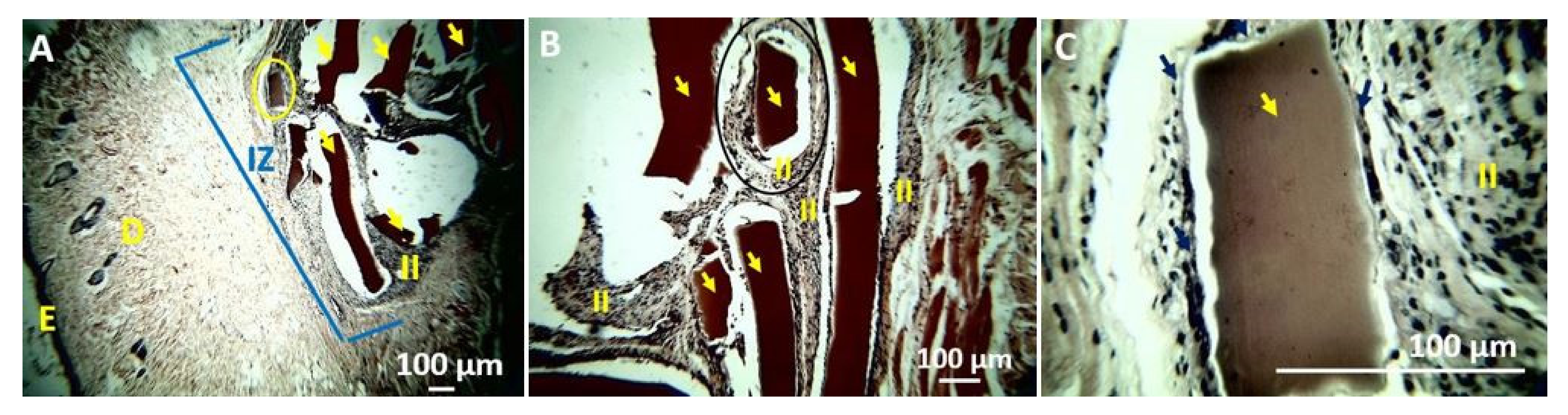 Polymers 13 03753 g009