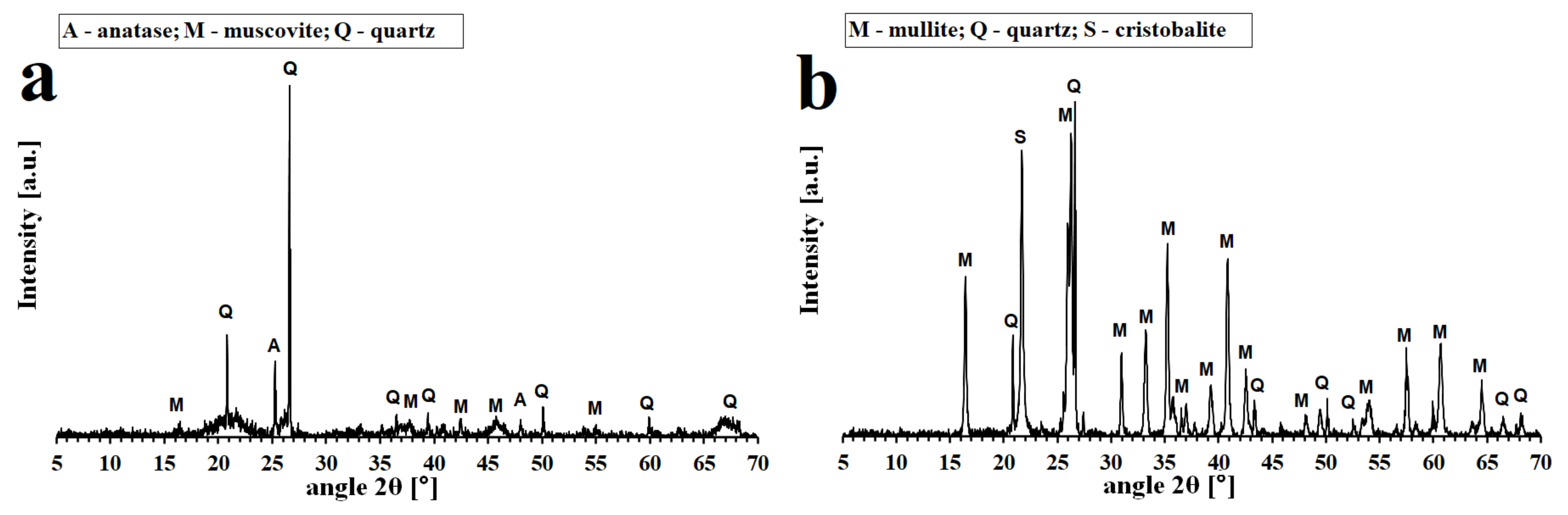 Polymers 13 03754 g001