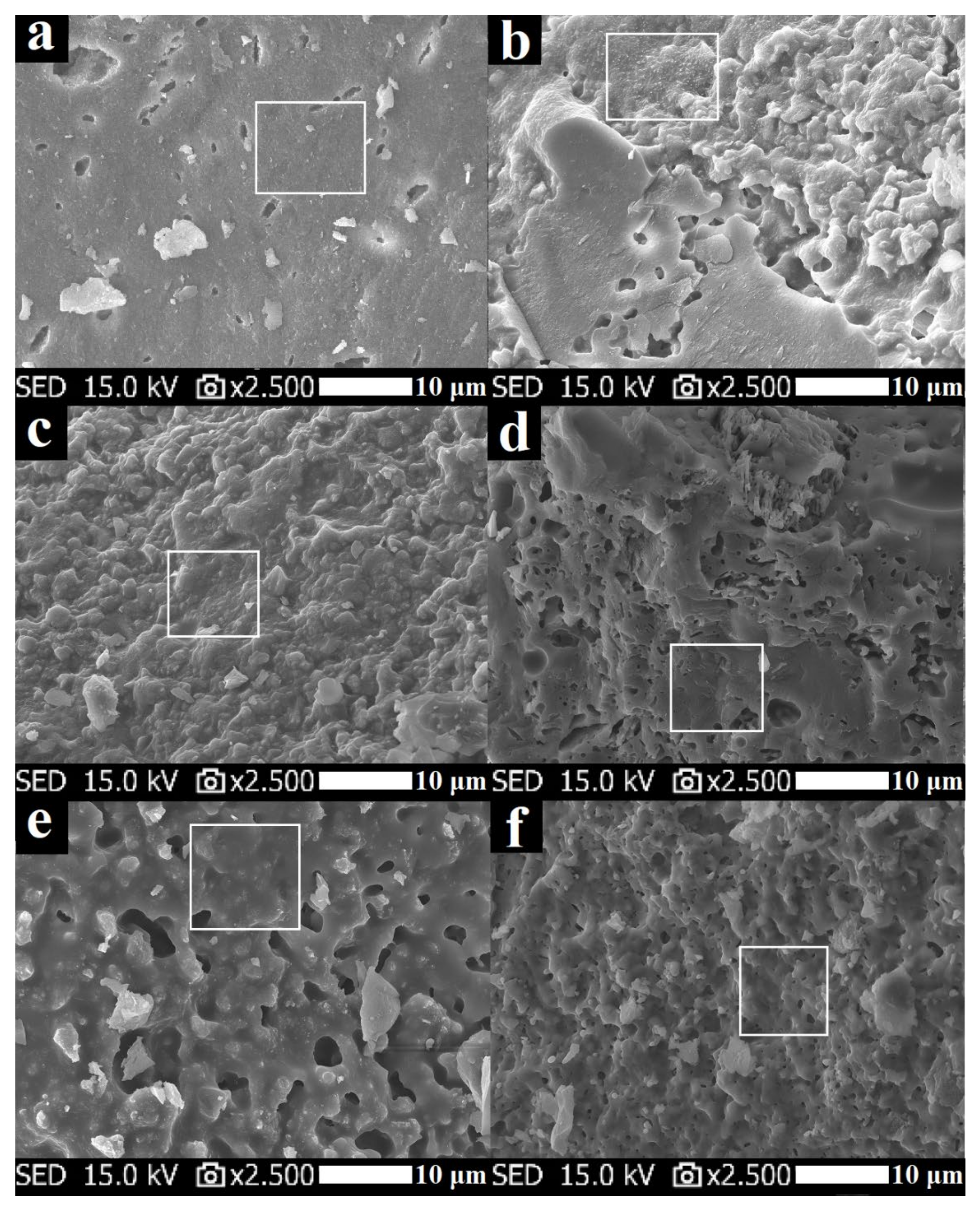 Polymers 13 03754 g012