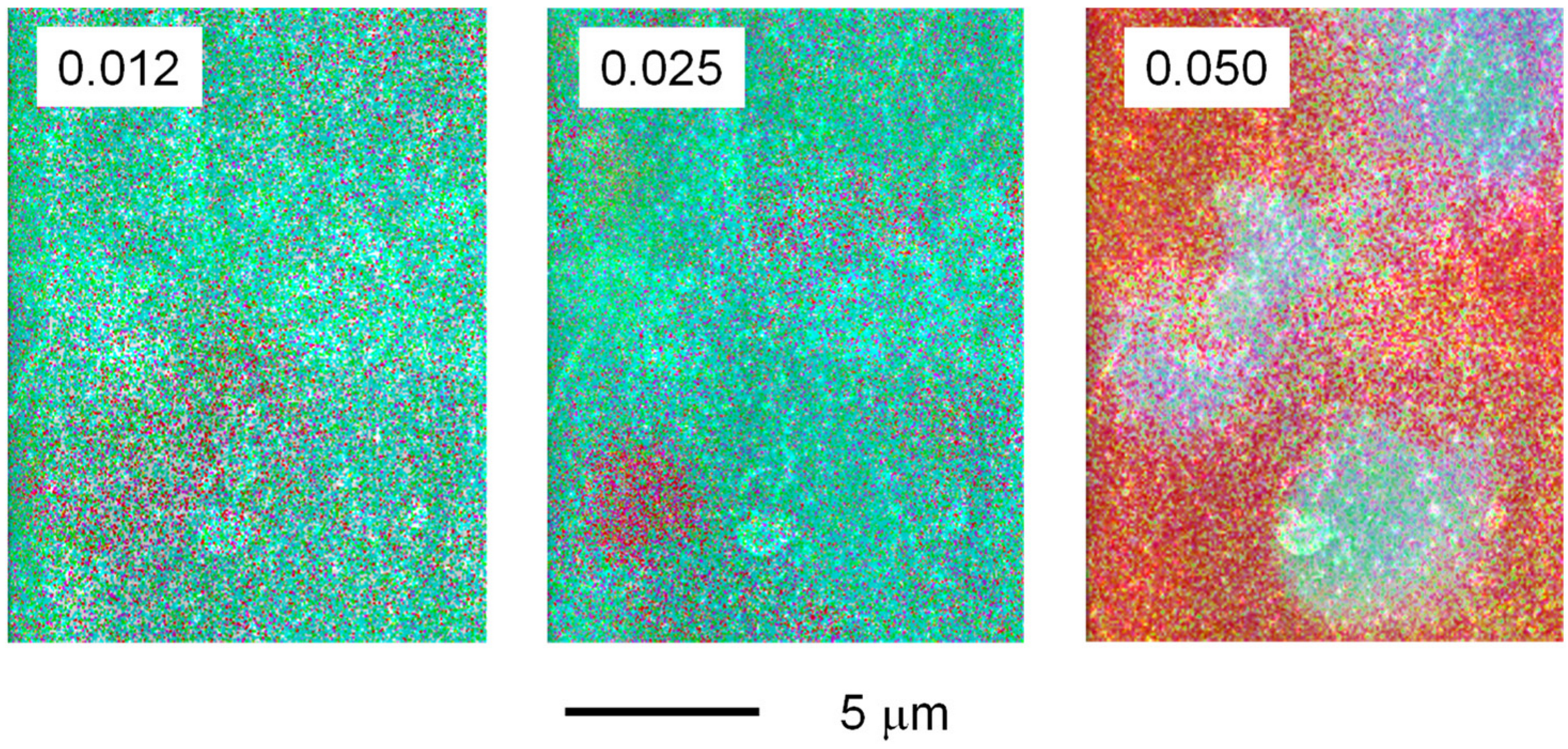 Polymers 13 03760 g003