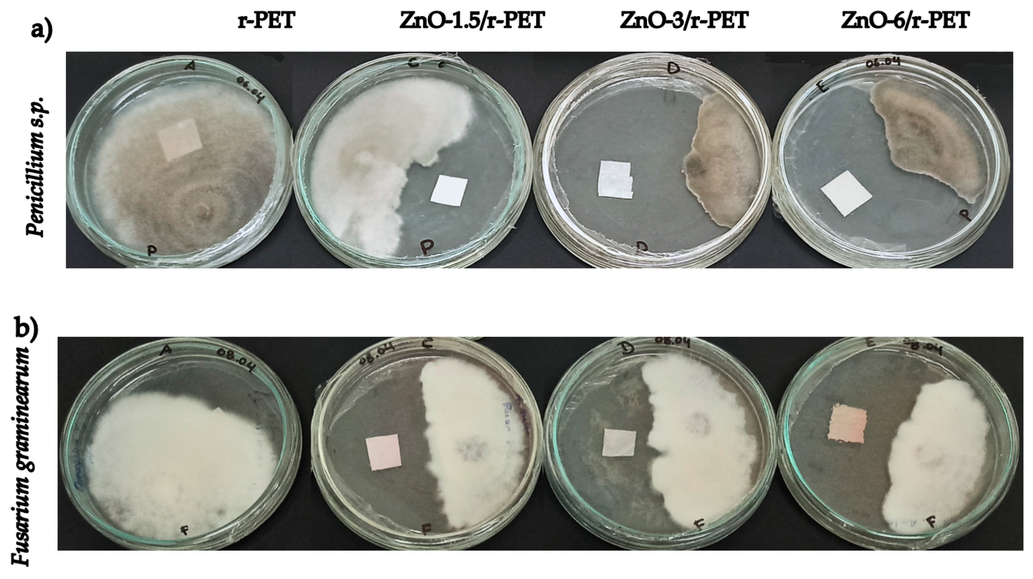 Polymers 13 03763 g006