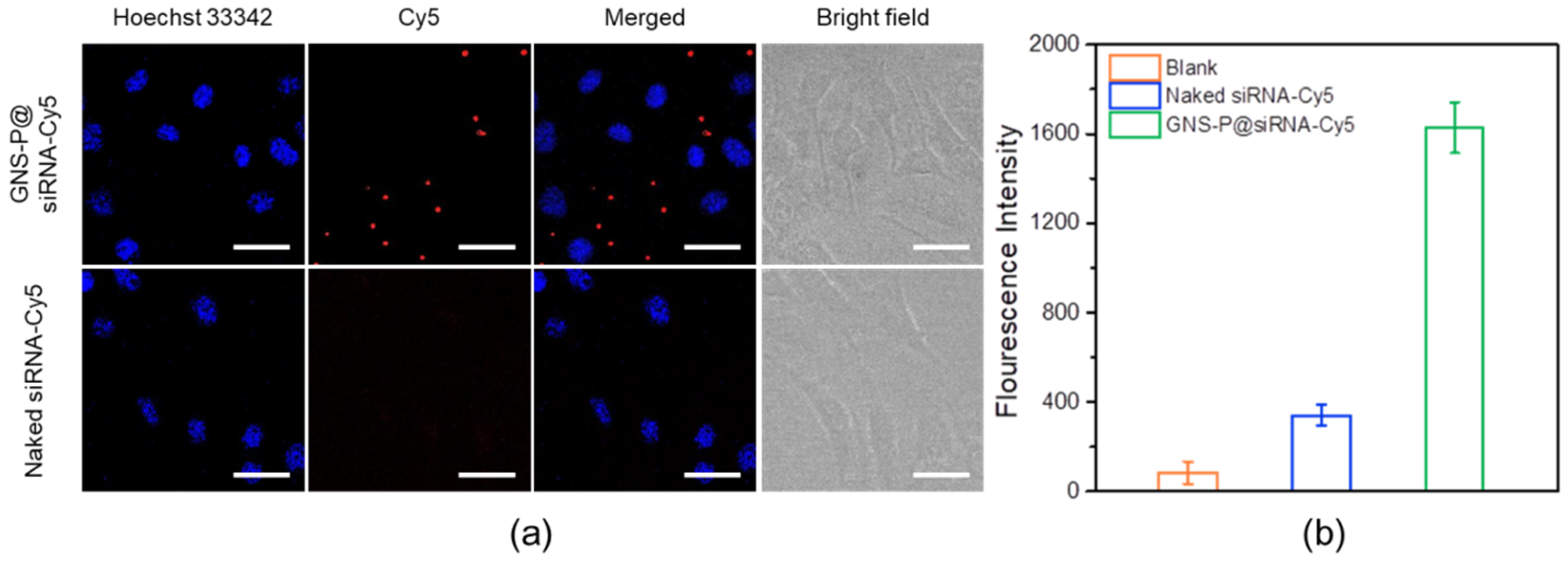 Polymers 13 03764 g008