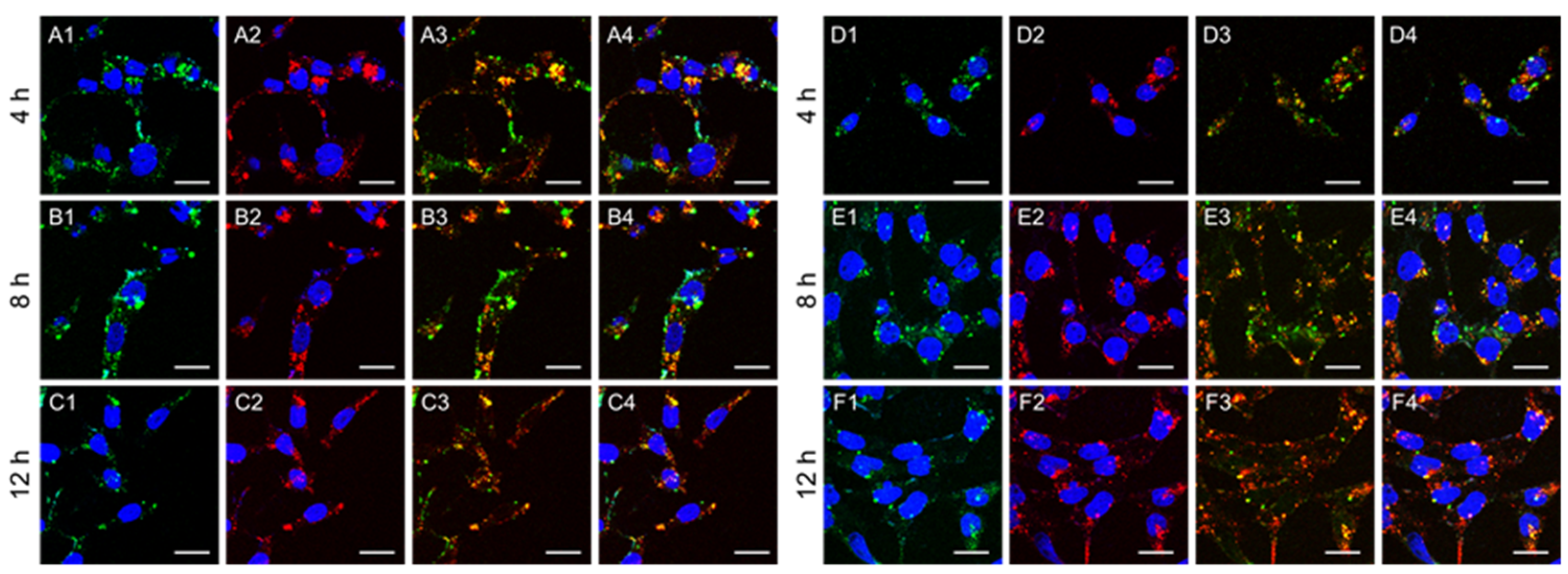 Polymers 13 03764 g009