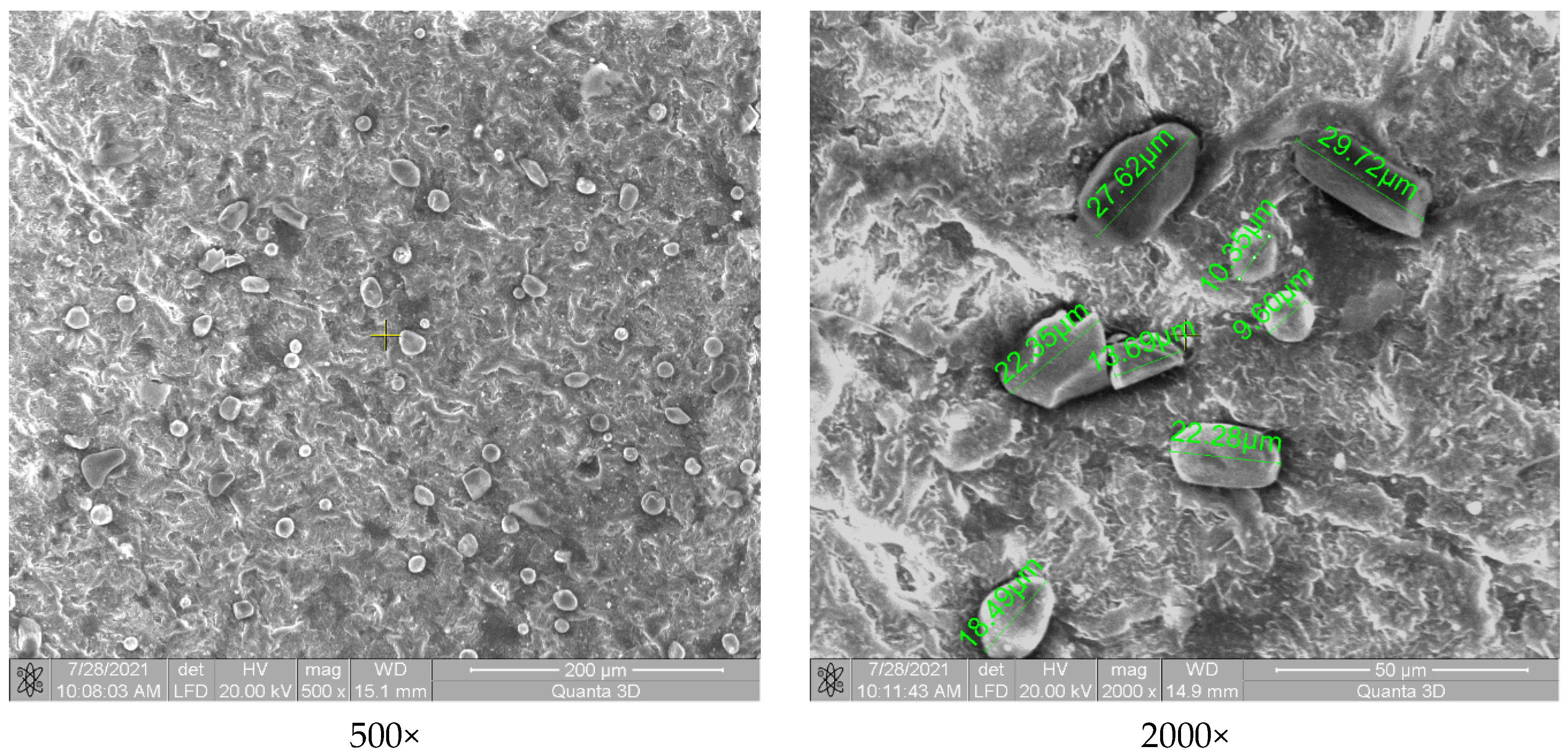 Polymers 13 03765 g004