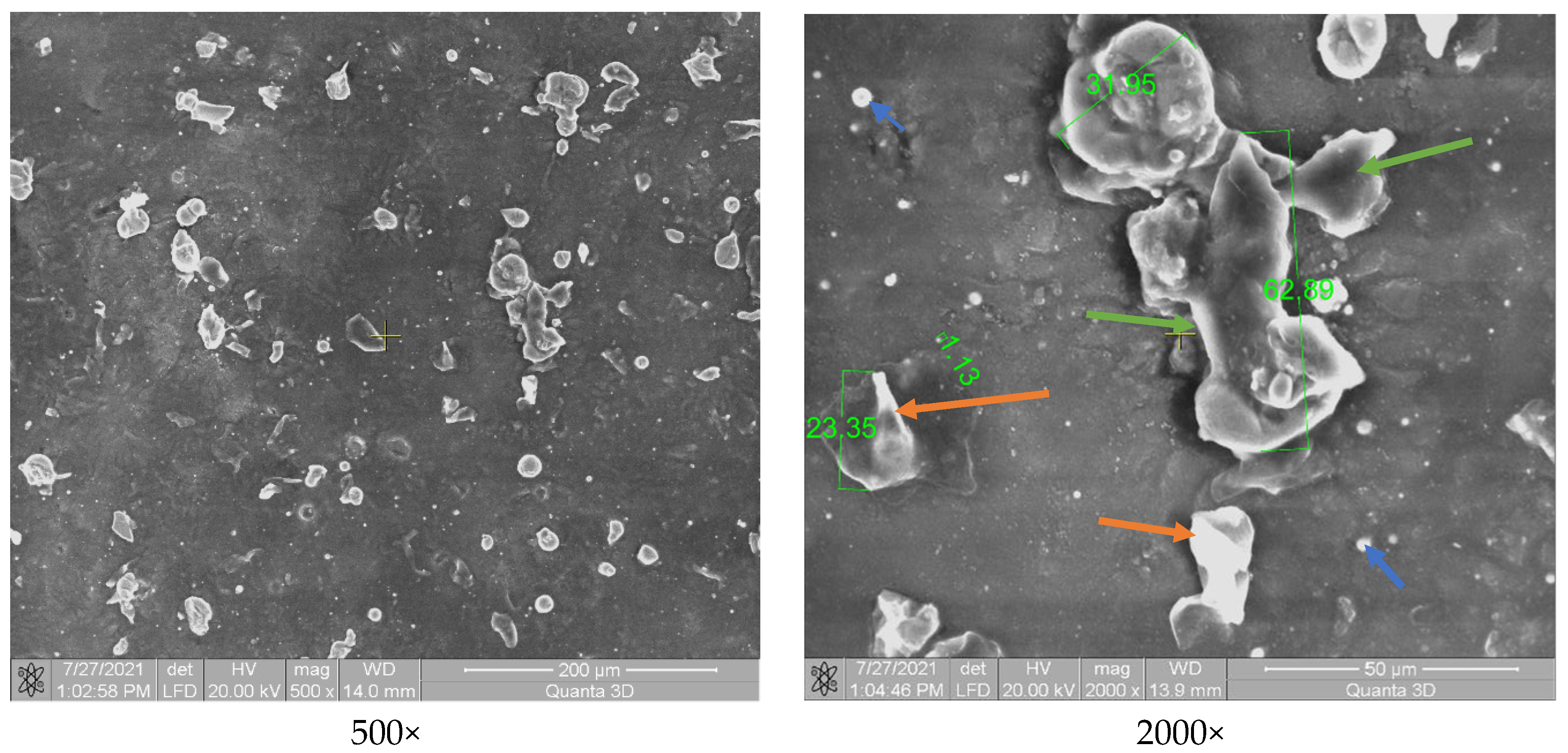 Polymers 13 03765 g005