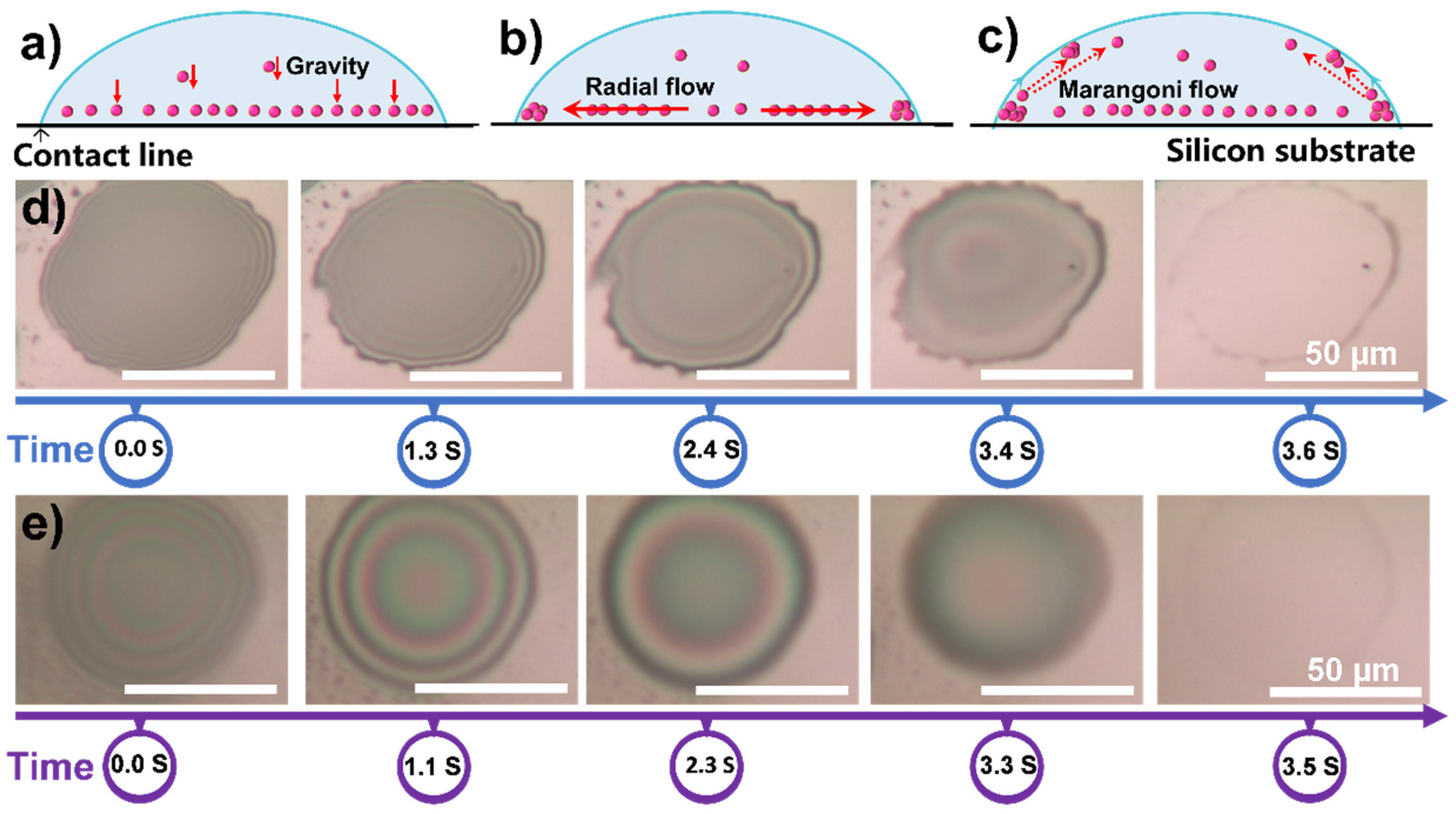 Polymers 13 03768 g003