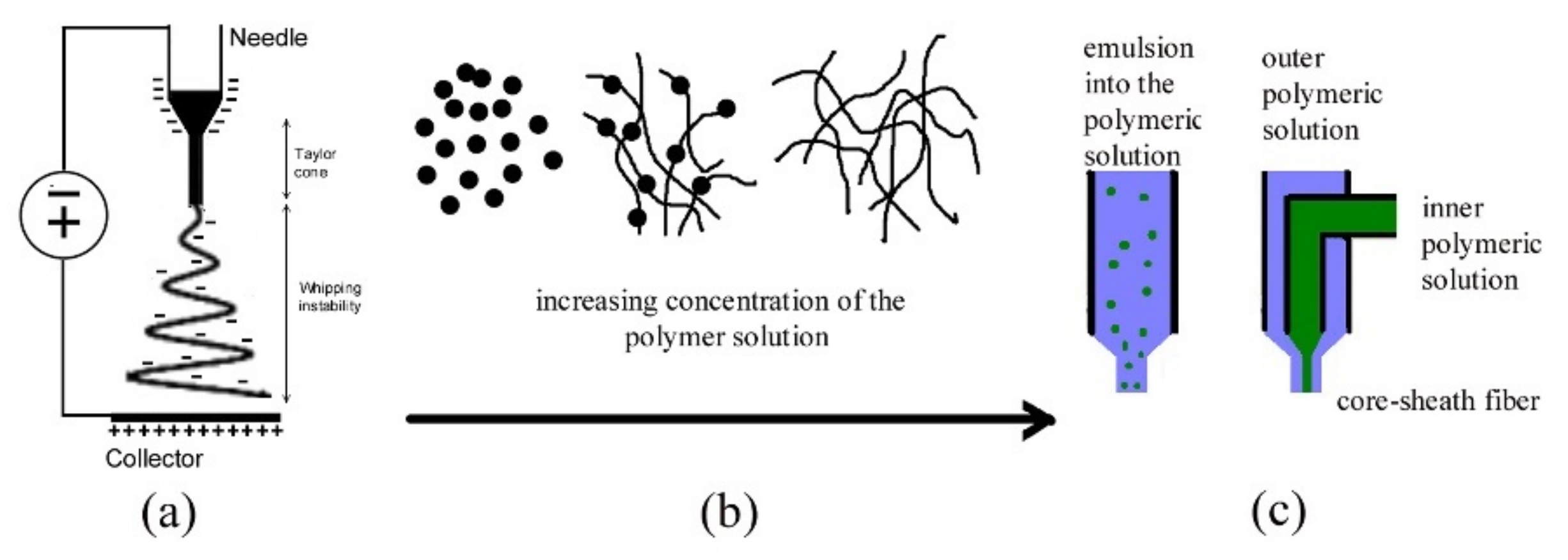 Polymers 13 03771 g001