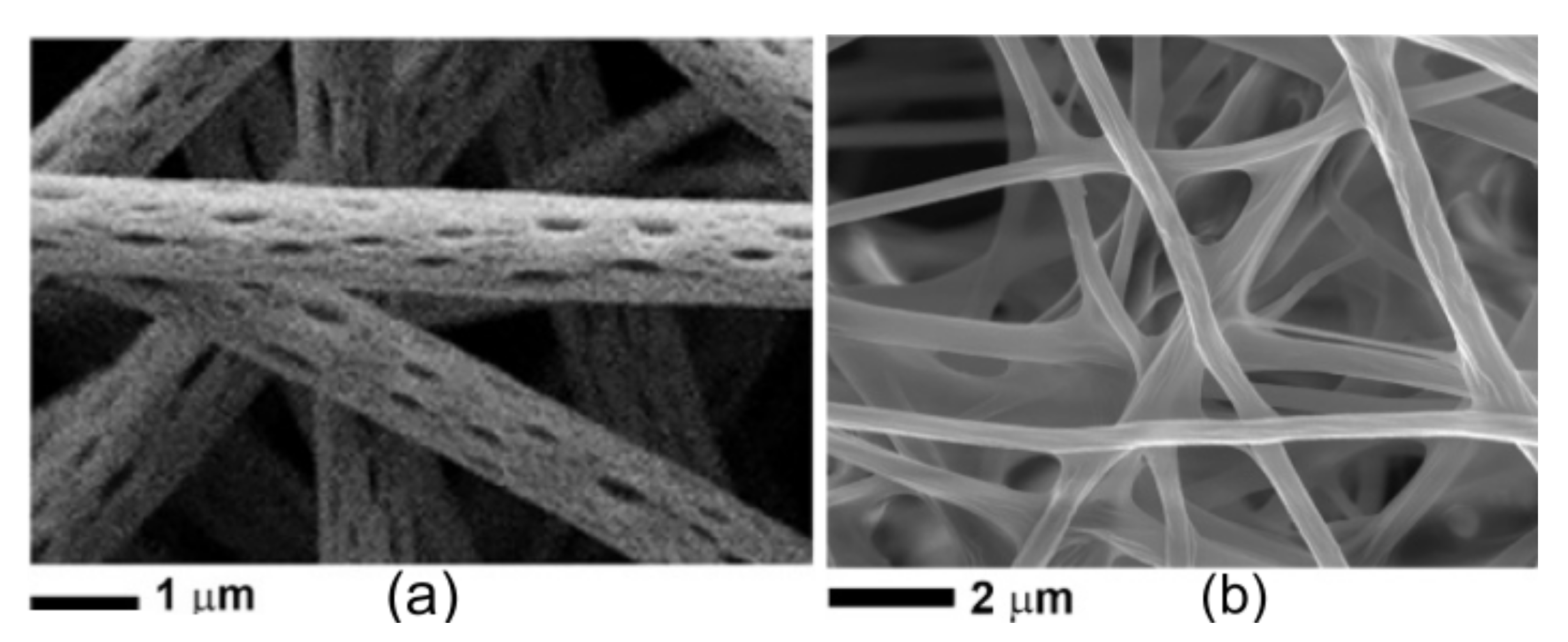 Polymers 13 03771 g002